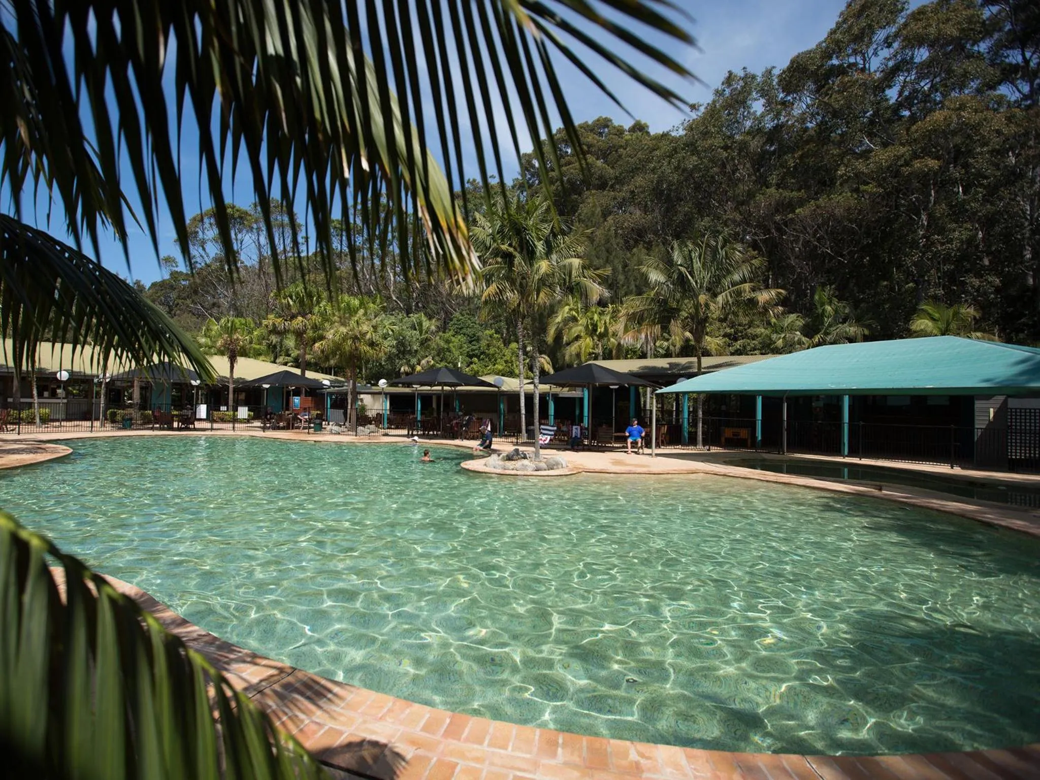 Swimming pool in NRMA Murramarang Beachfront Holiday Resort