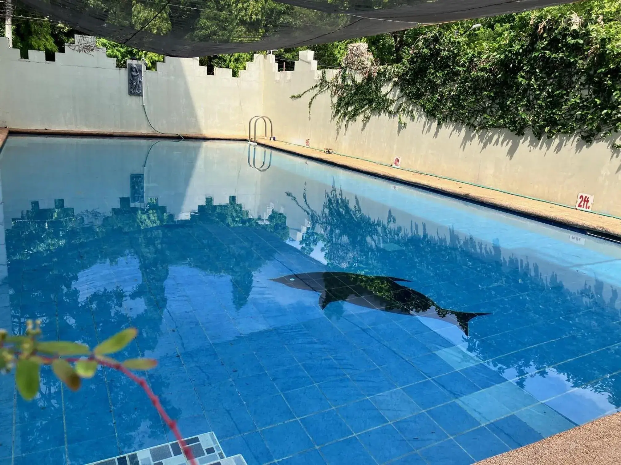 Swimming pool in Buena Casa Hotel Swimming pool in Buena Casa Hotel