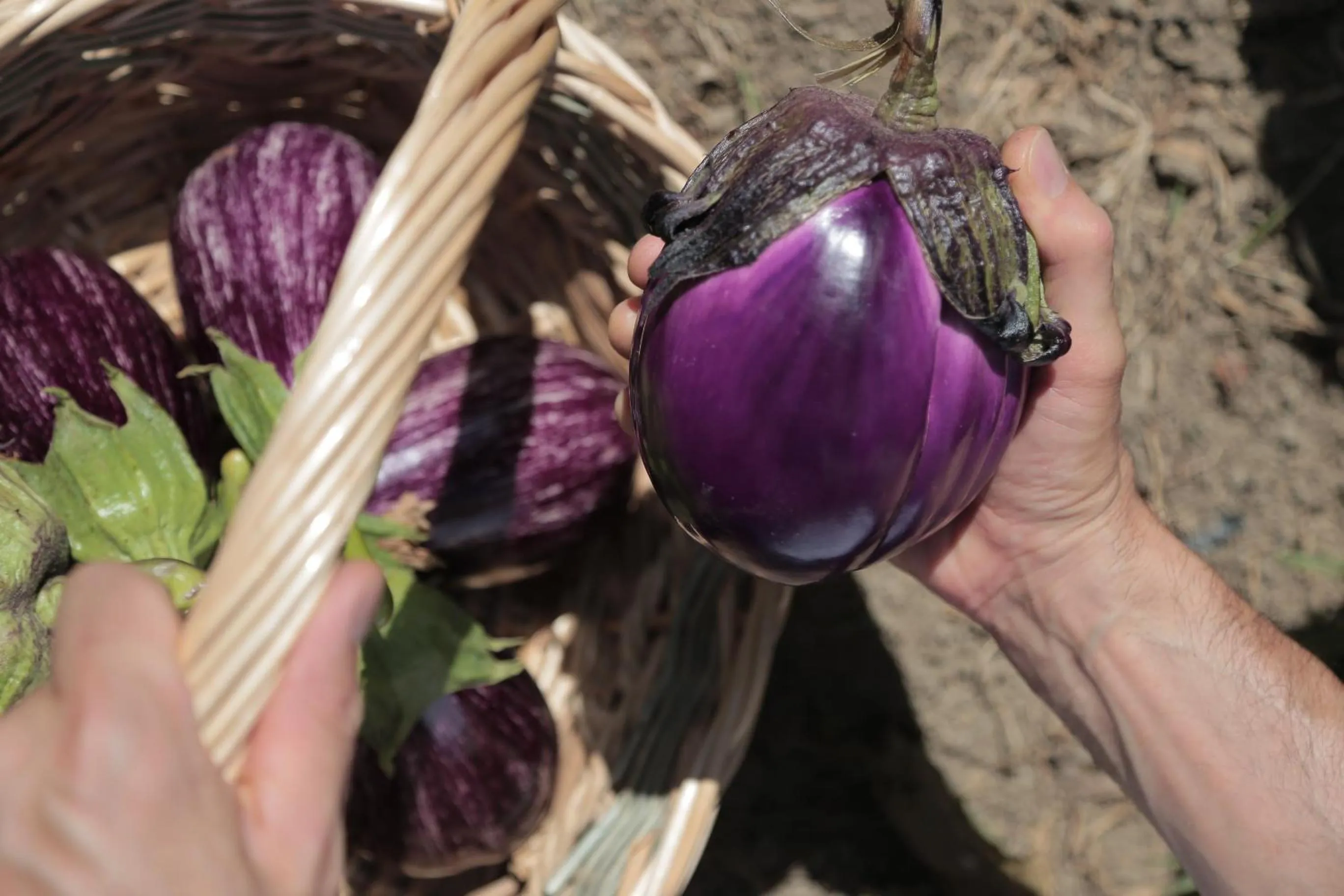 Decorative detail in Hotel Miramonti