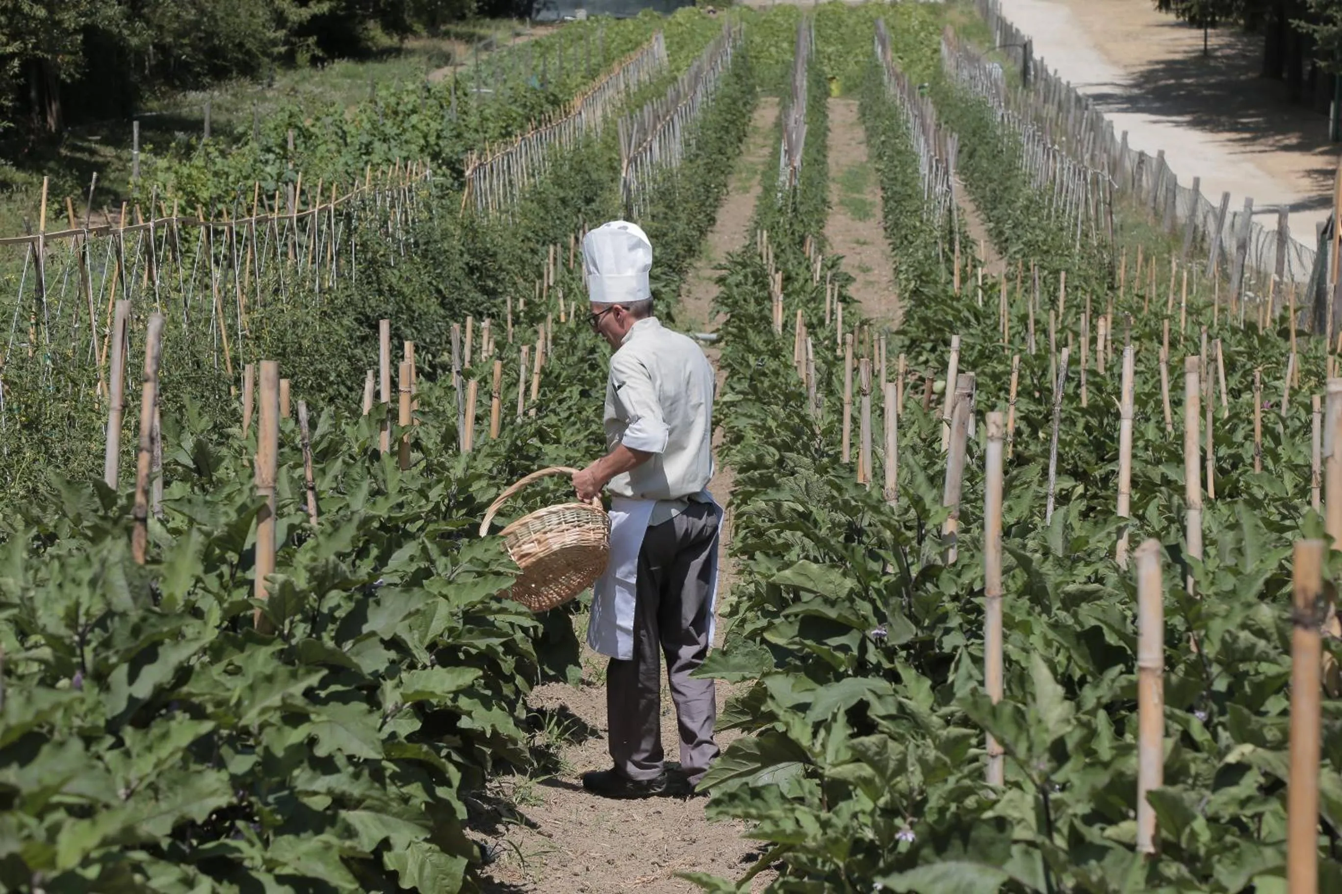 Natural landscape in Hotel Miramonti