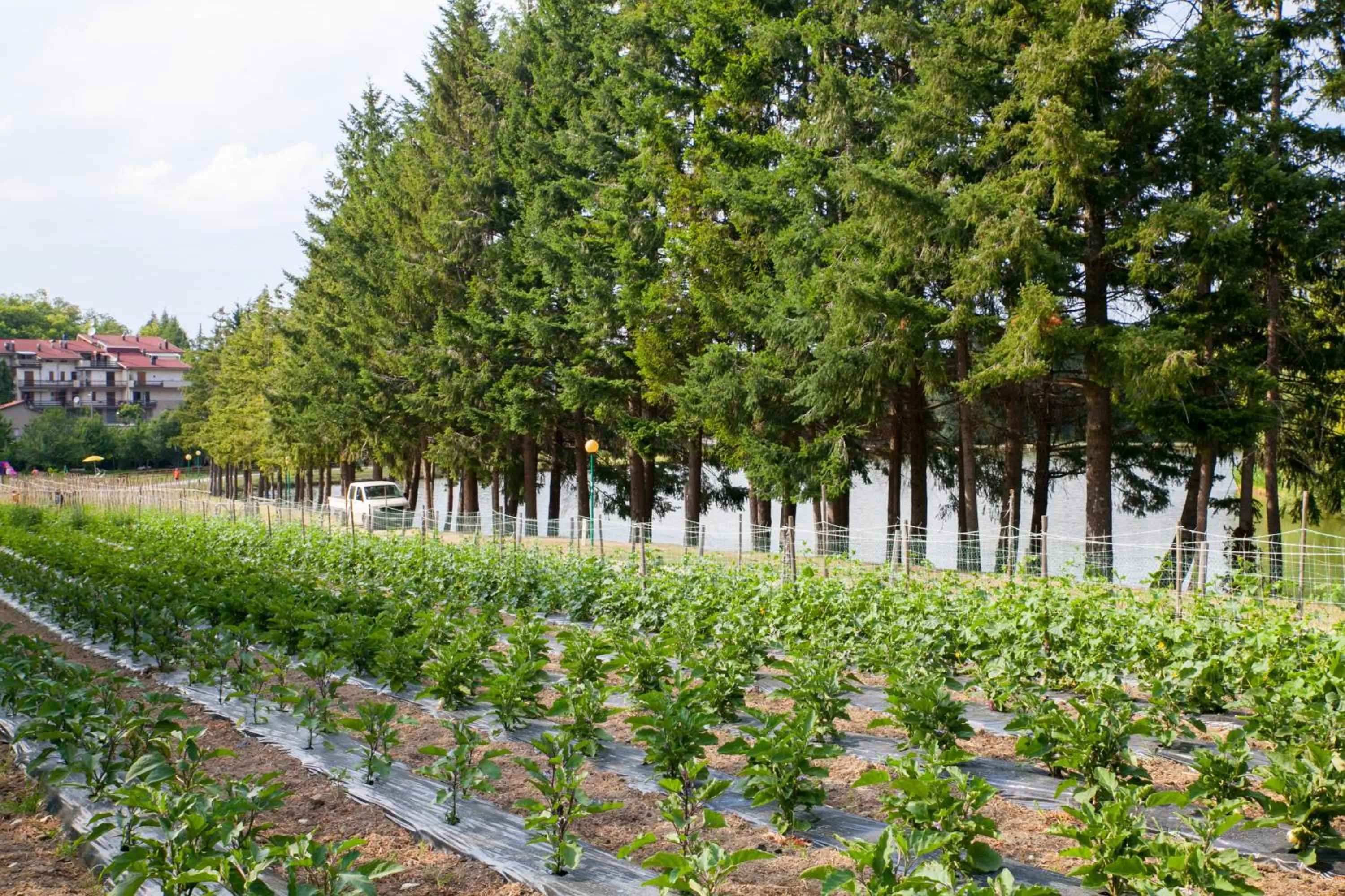 Natural landscape in Hotel Miramonti