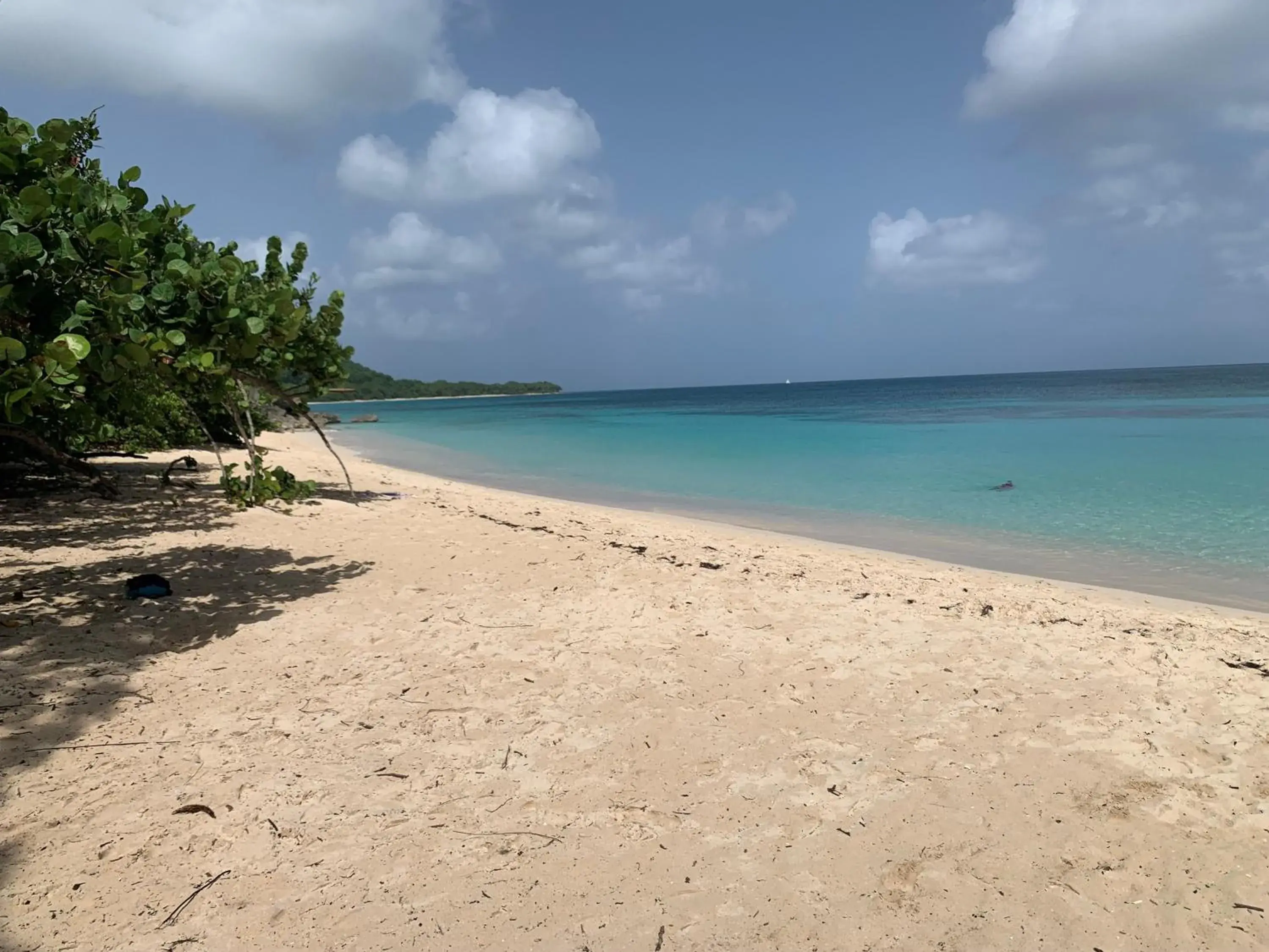 Coté plage Le Balaou Saint Francois Coté plage Le Balaou Saint Francois