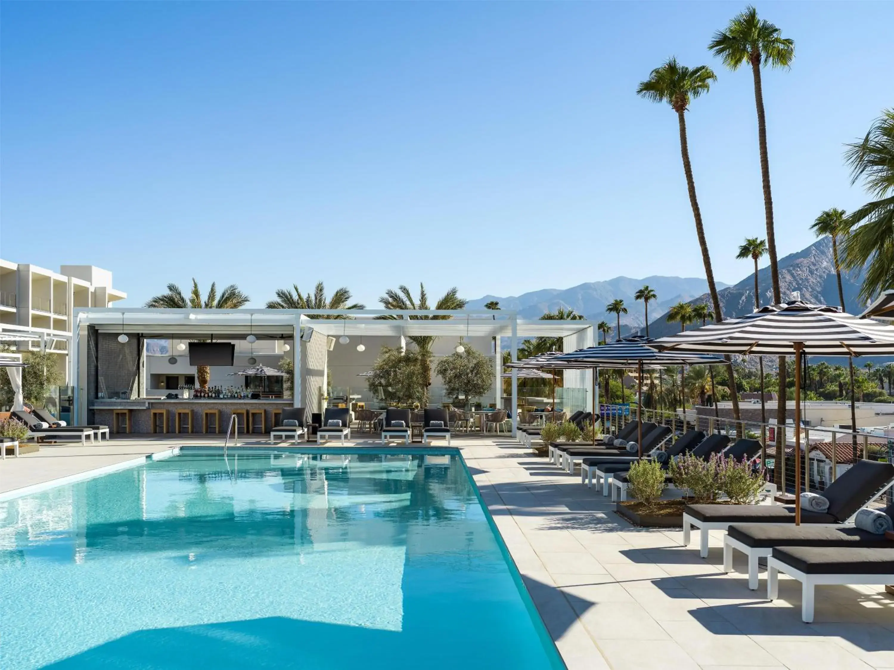Swimming pool in Thompson Palm Springs, By Hyatt Swimming pool in Thompson Palm Springs, By Hyatt