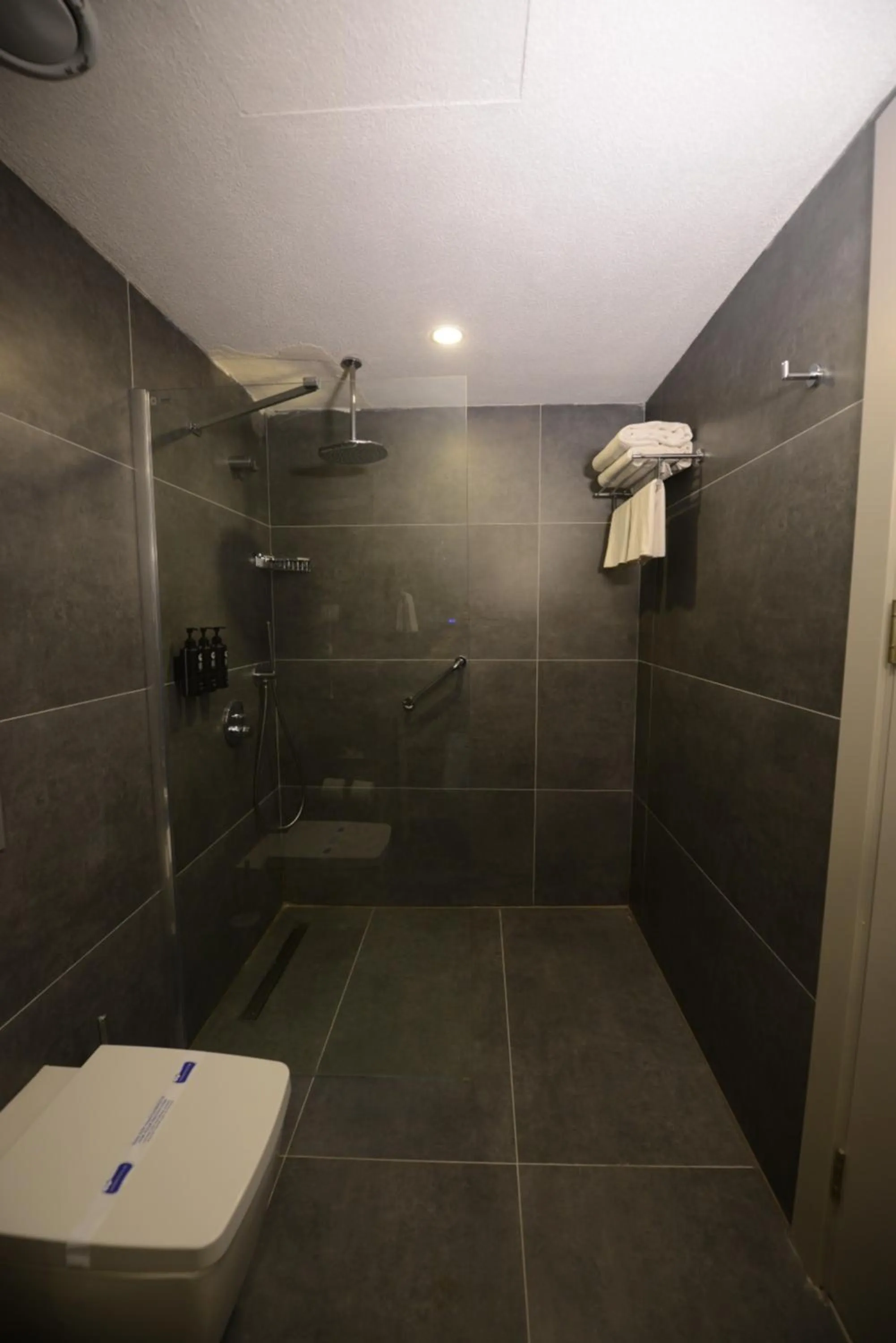 Shower in Wyndham Garden Cambasi