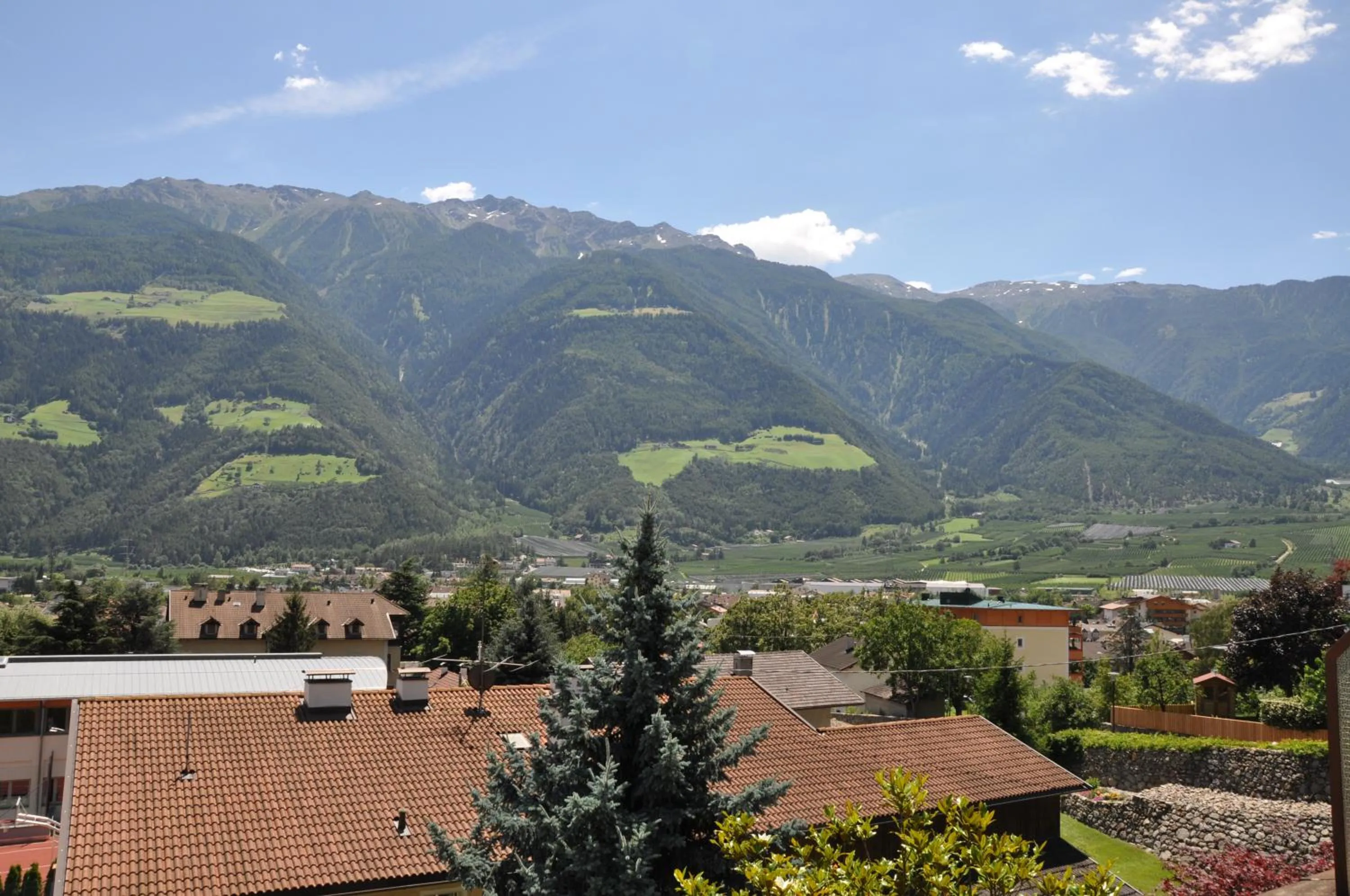 Natural landscape in Hotel Weingarten