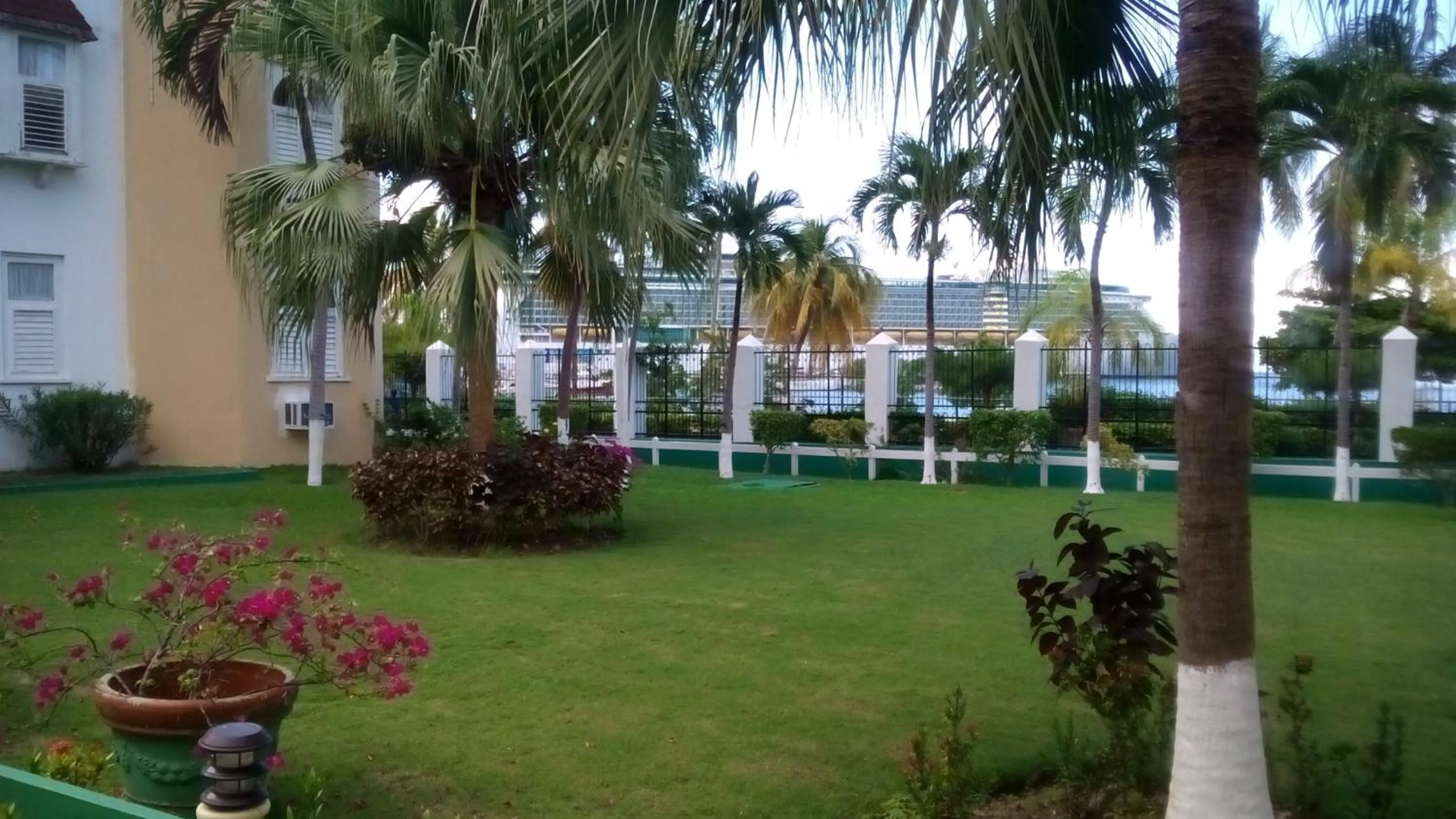 Garden in Beach Studio 4