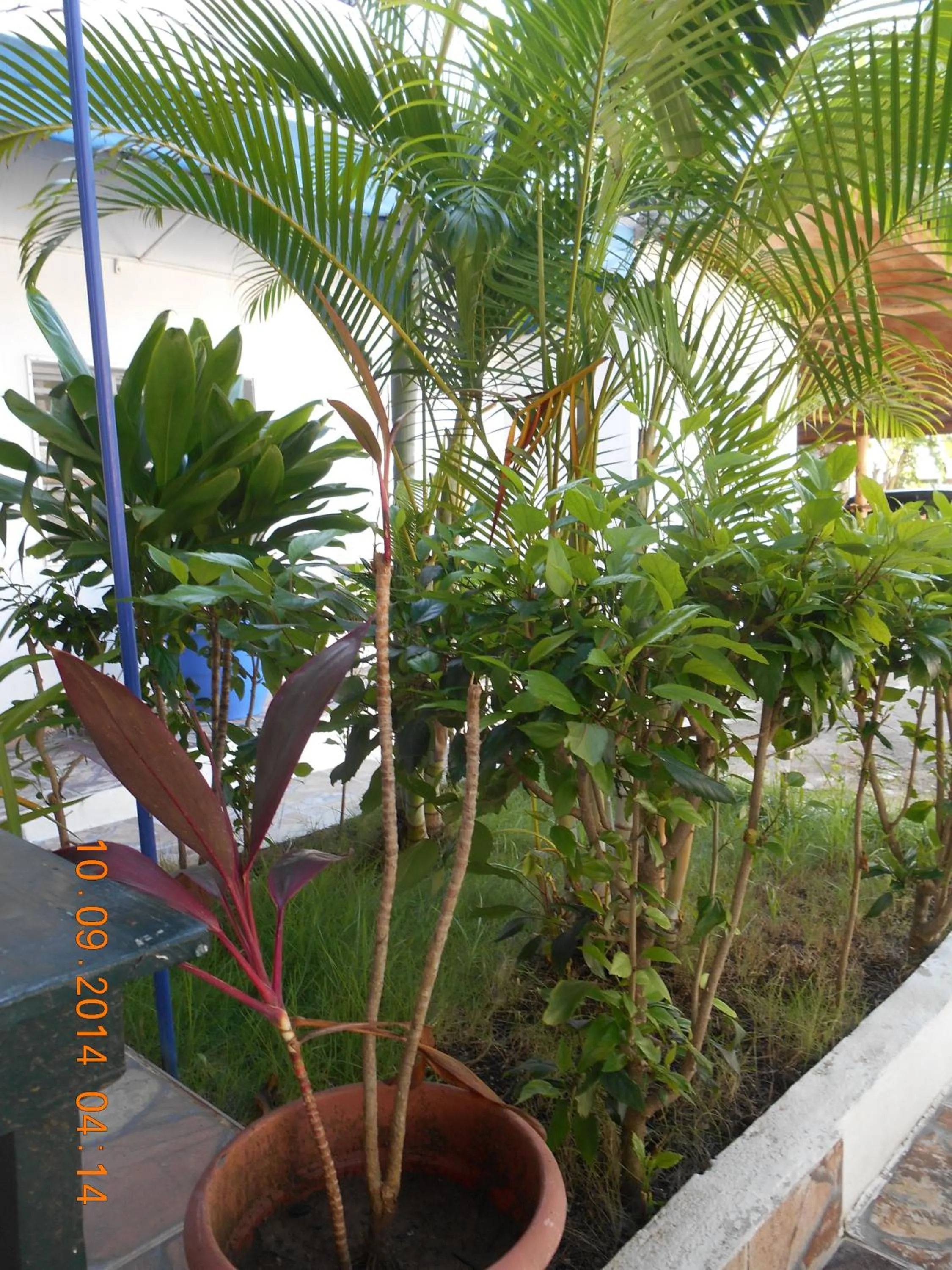 Balcony/Terrace in Lucy Rooms