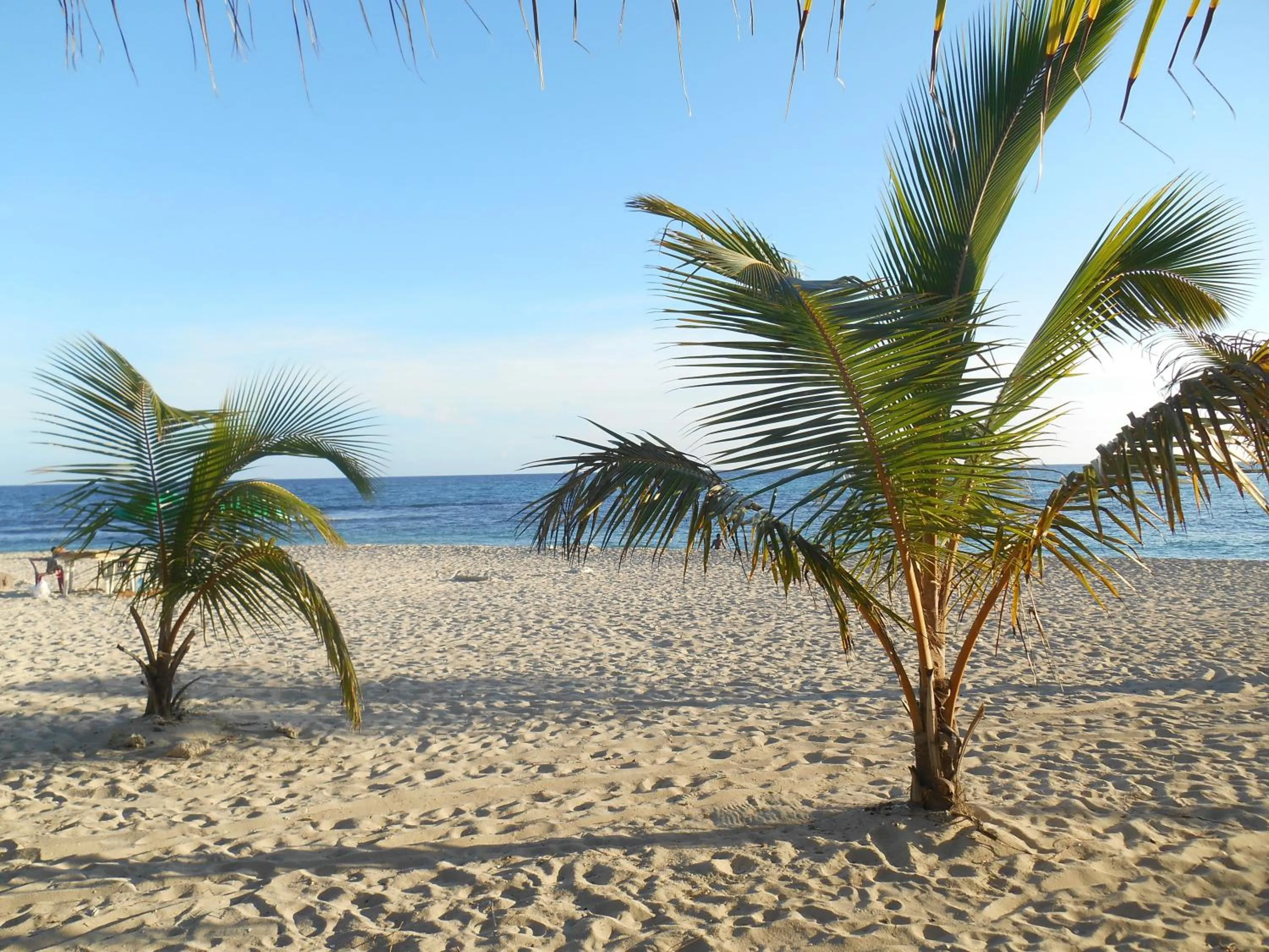 Activities in Lucy Rooms