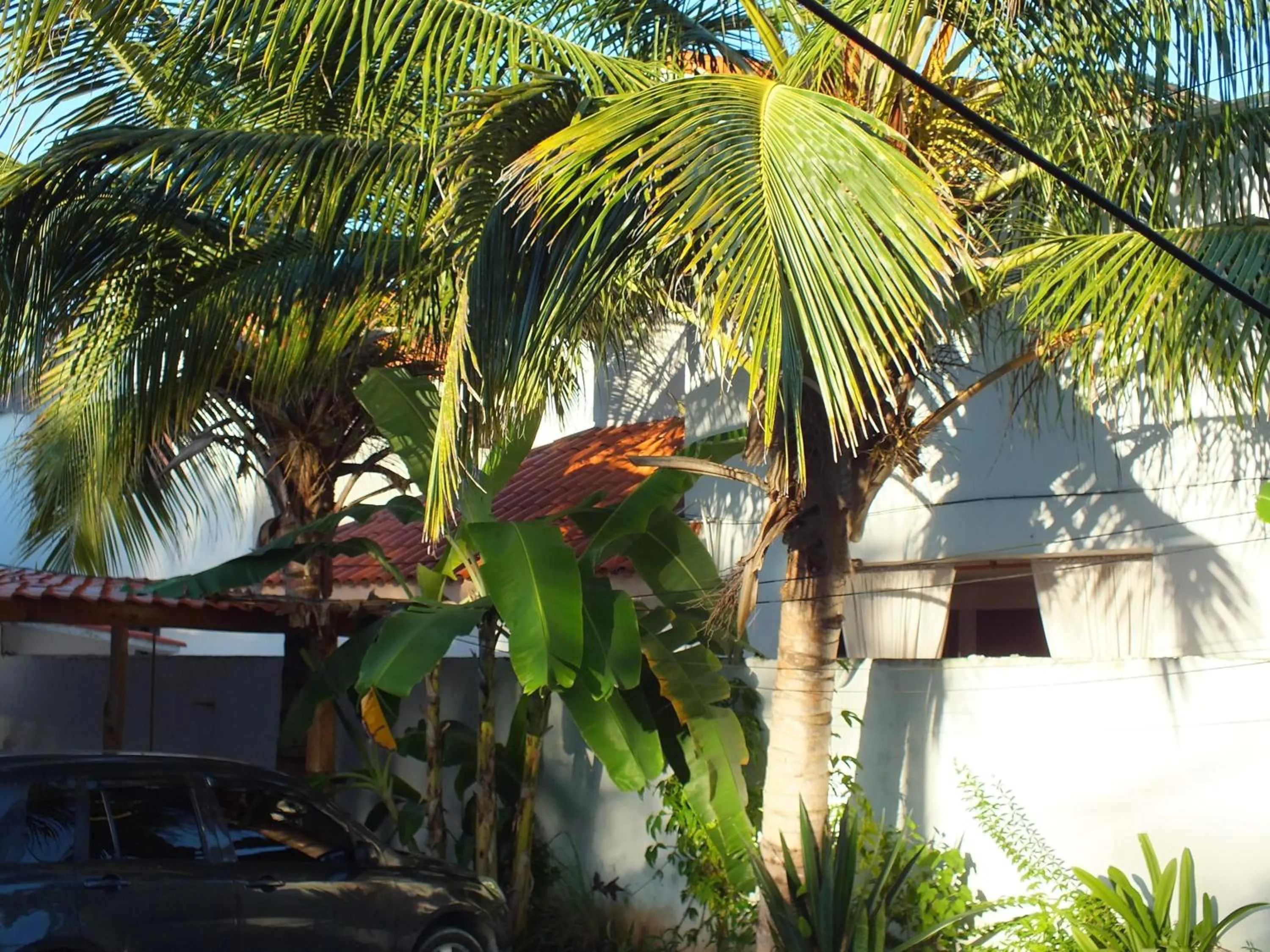 Garden in Lucy Rooms