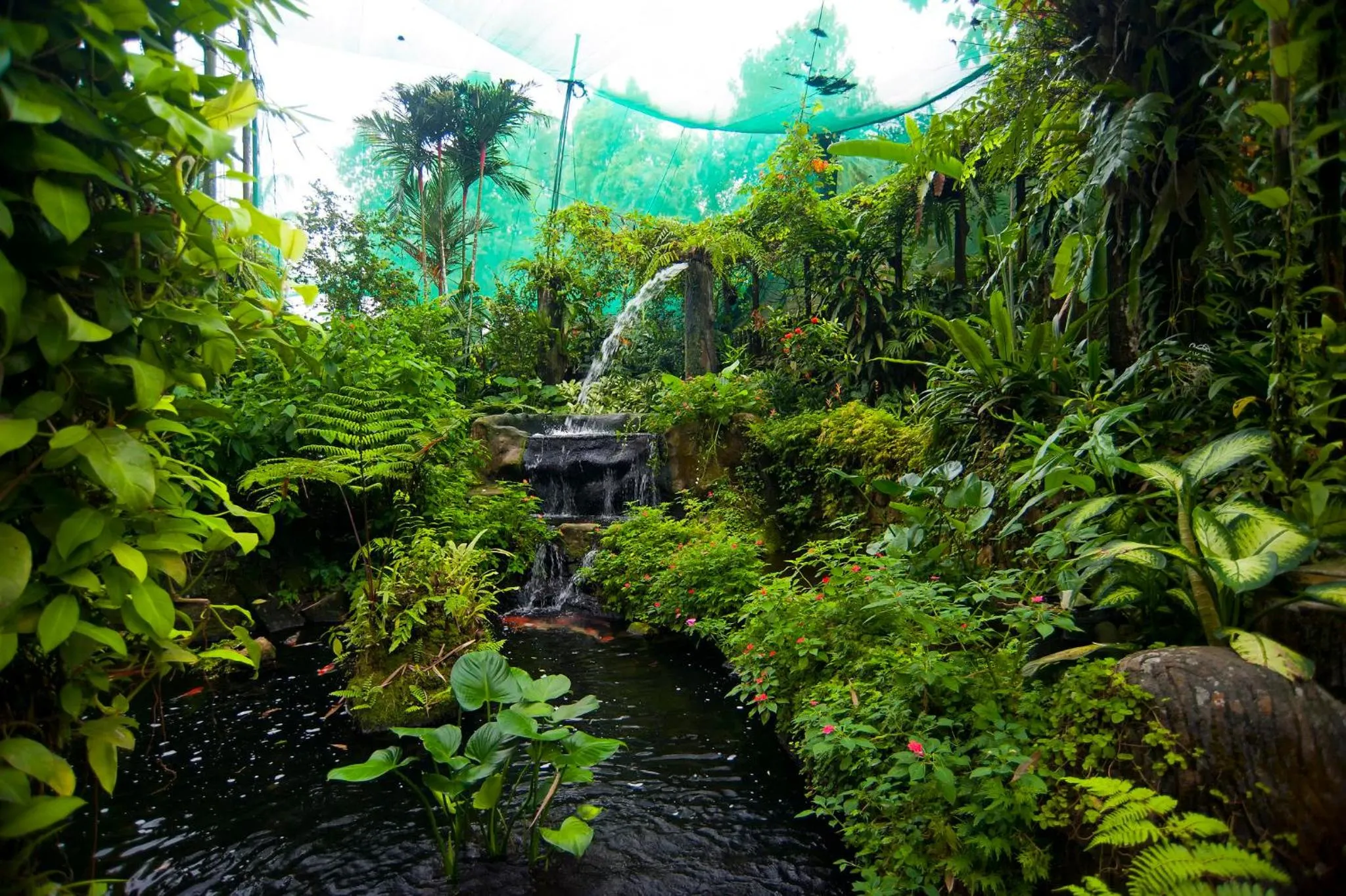 Area and facilities in Holiday Inn Kuala Lumpur Bangsar by IHG