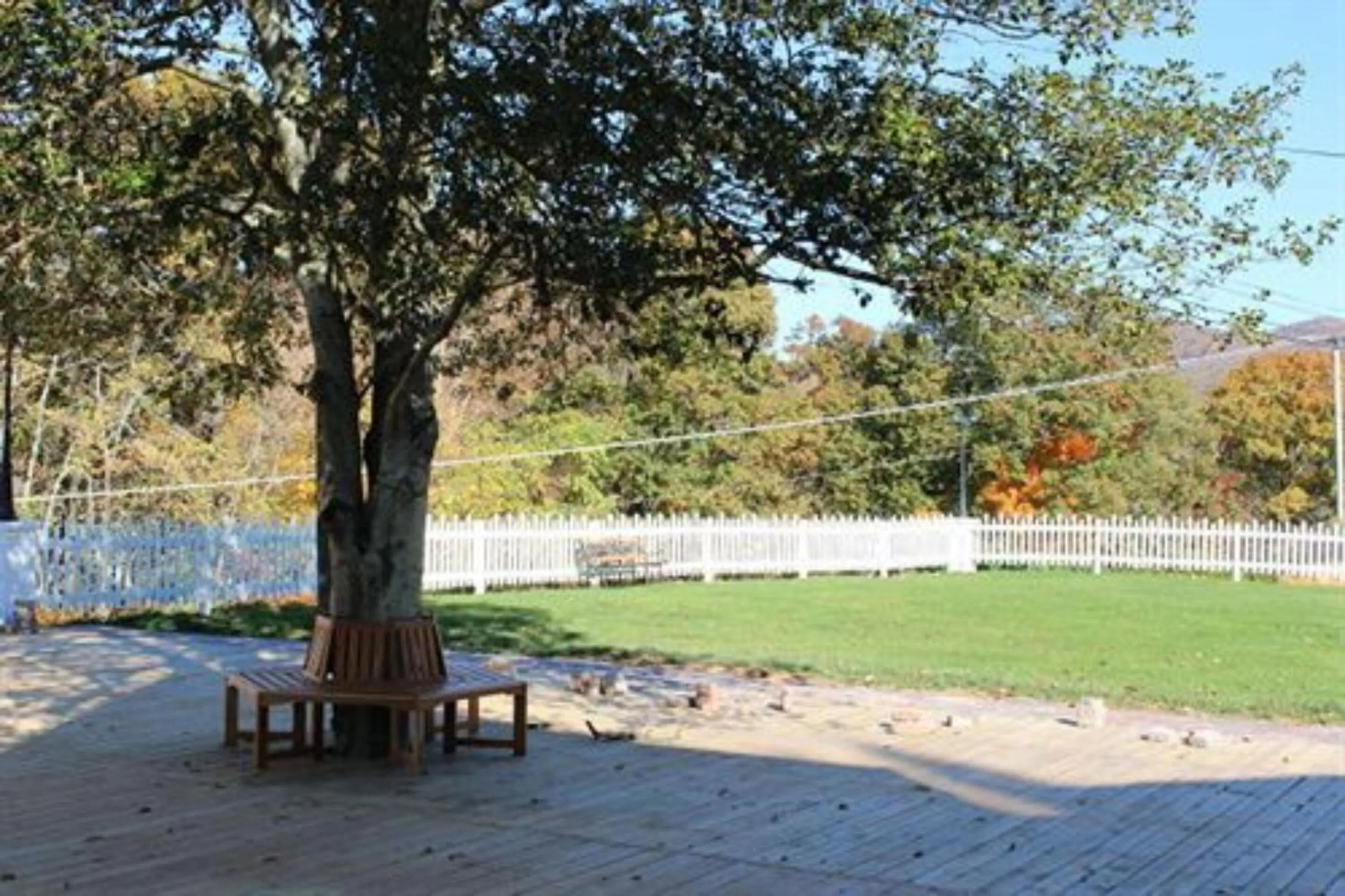 View (from property/room) in Millsap-Baker Estate