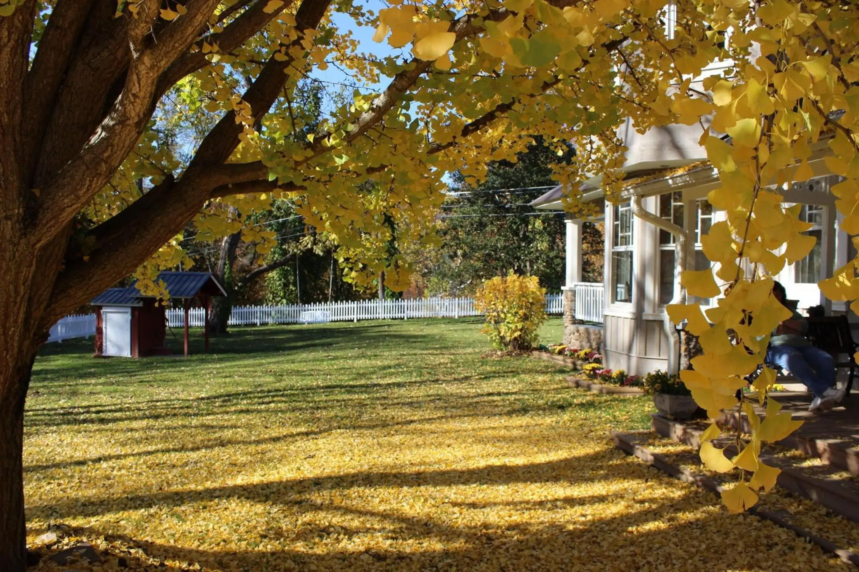 Property building in Millsap-Baker Estate Property building in Millsap-Baker Estate