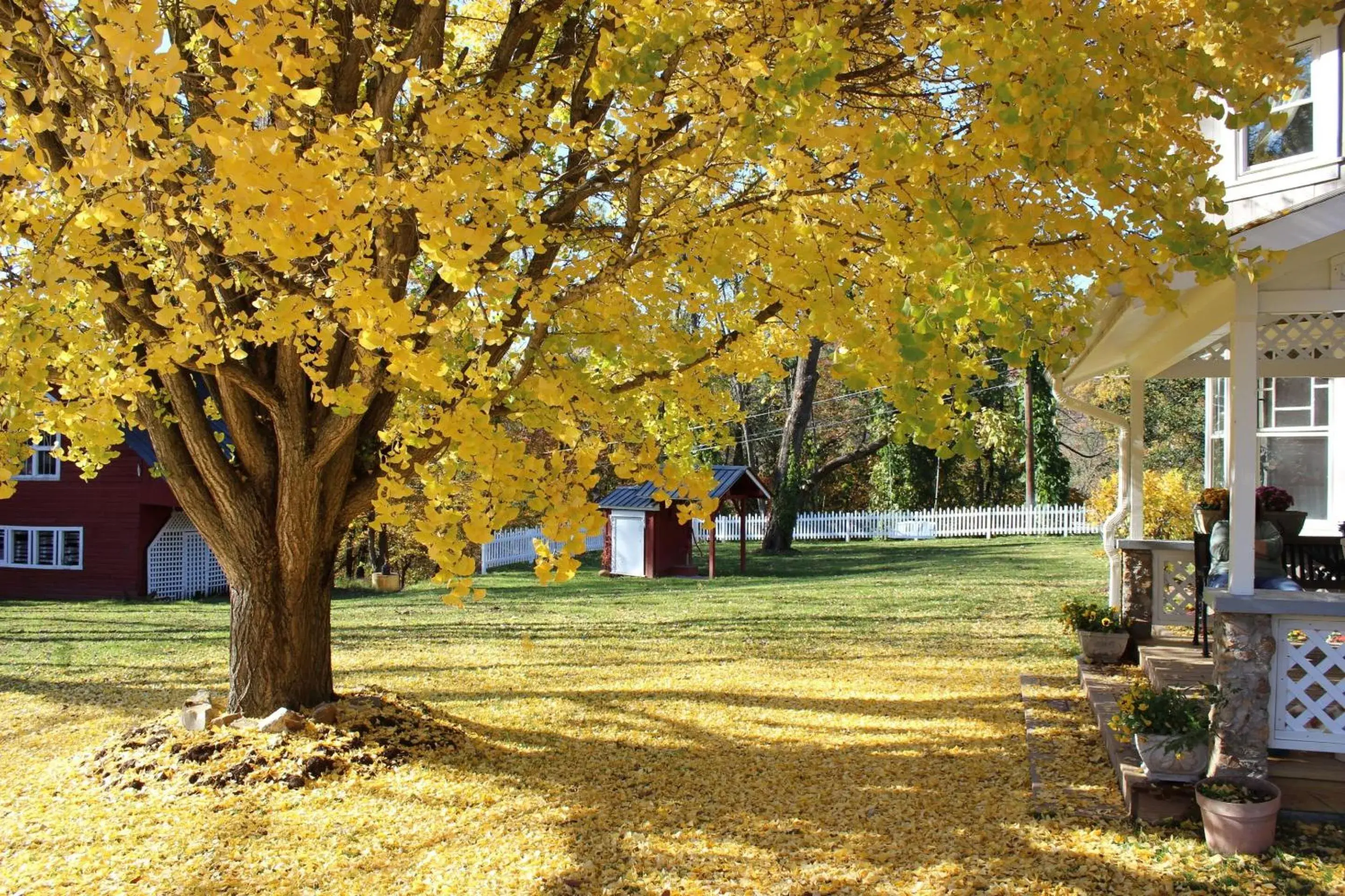 Property building in Millsap-Baker Estate Property building in Millsap-Baker Estate