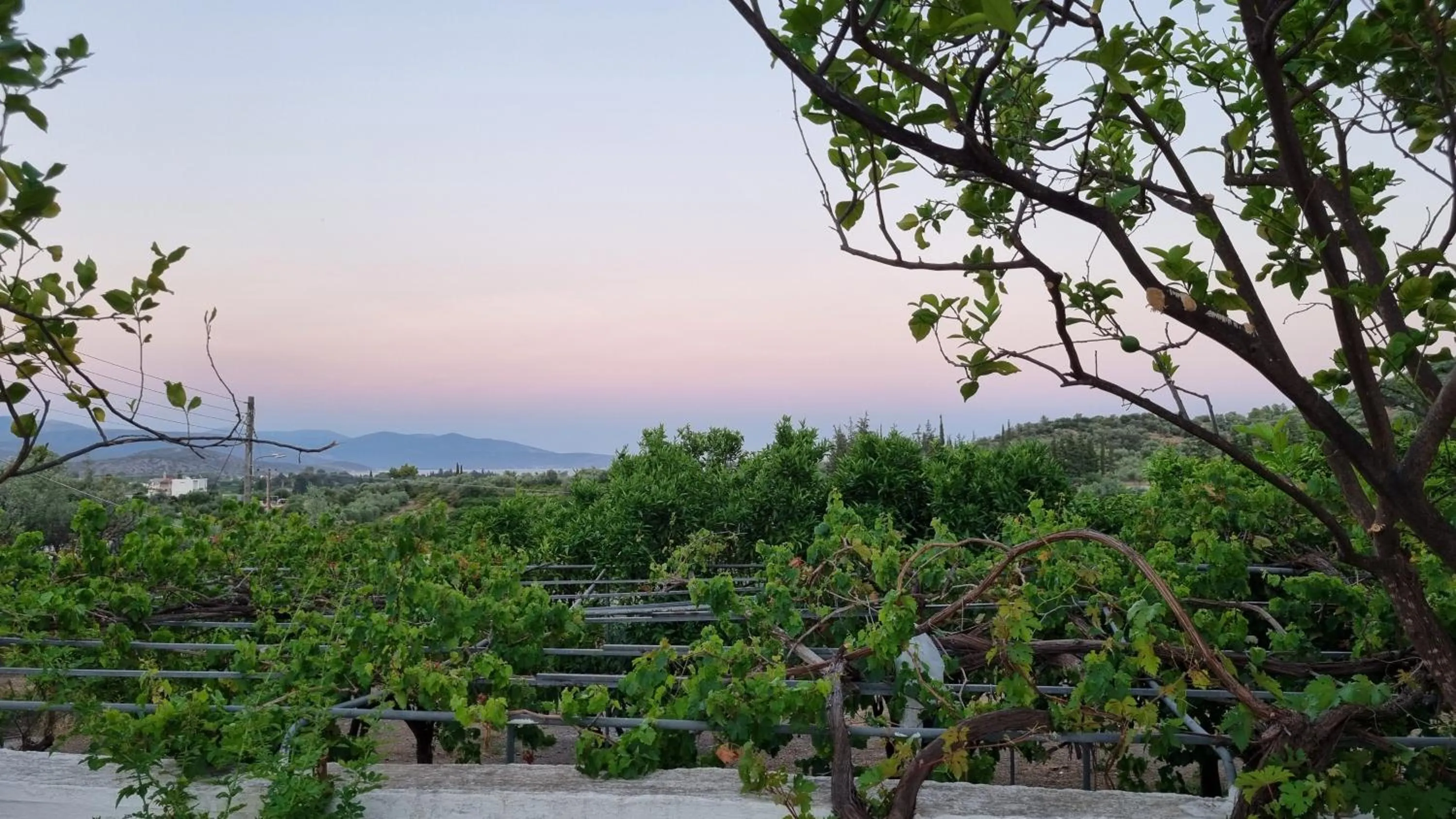 Natural landscape in Tolo Blue Bay