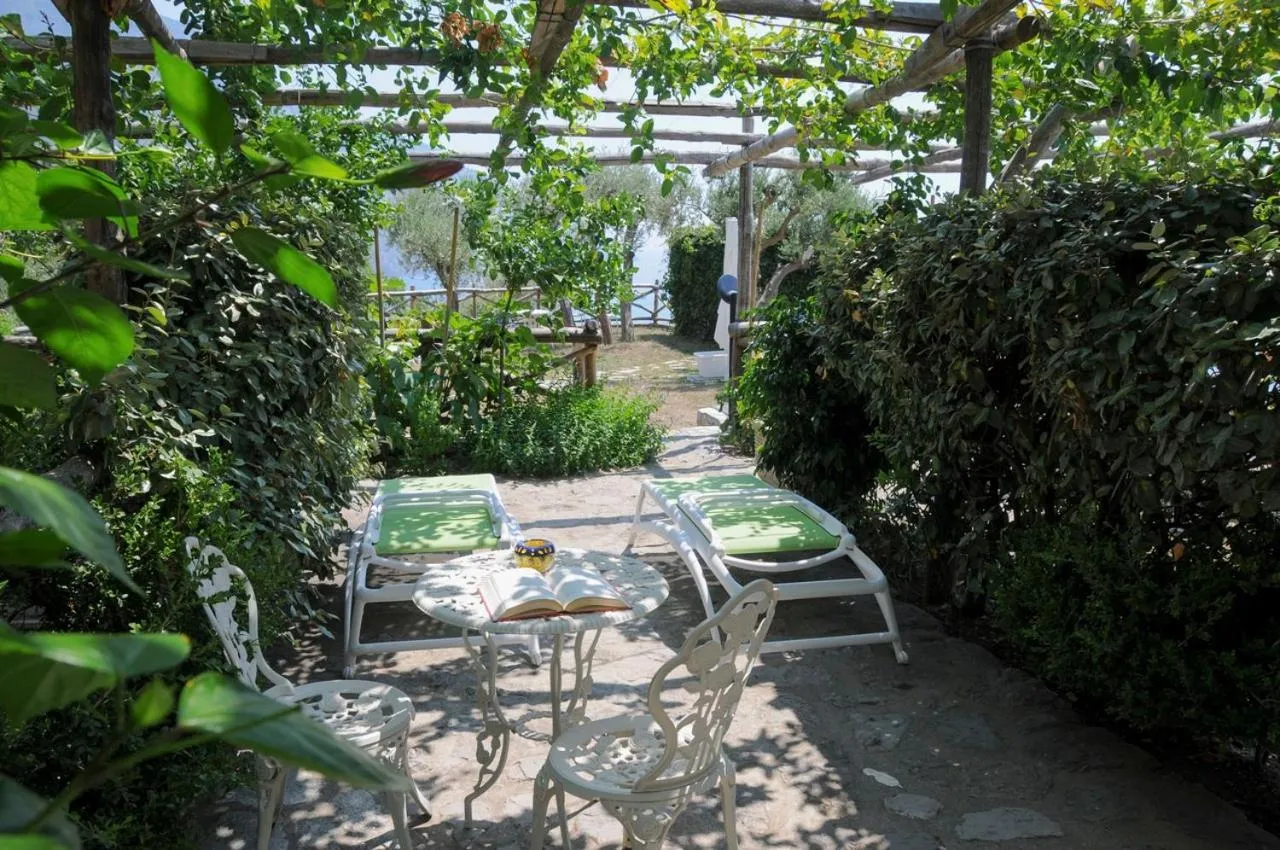 Garden in Hotel Dimora Fornillo