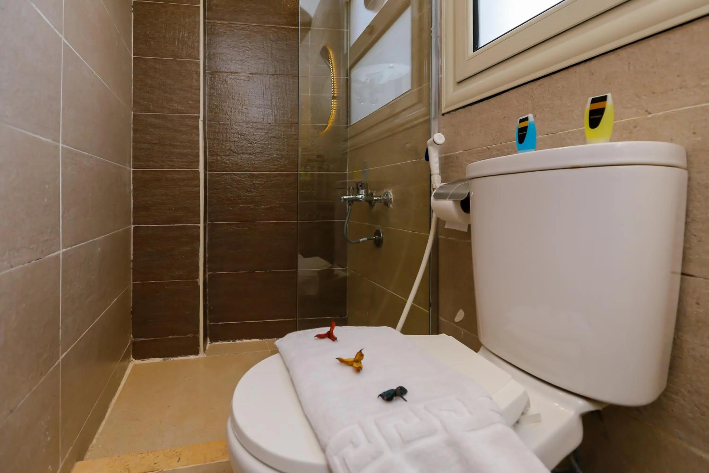 Shower in Taj Pyramids inn - Pyramids View Rooftop