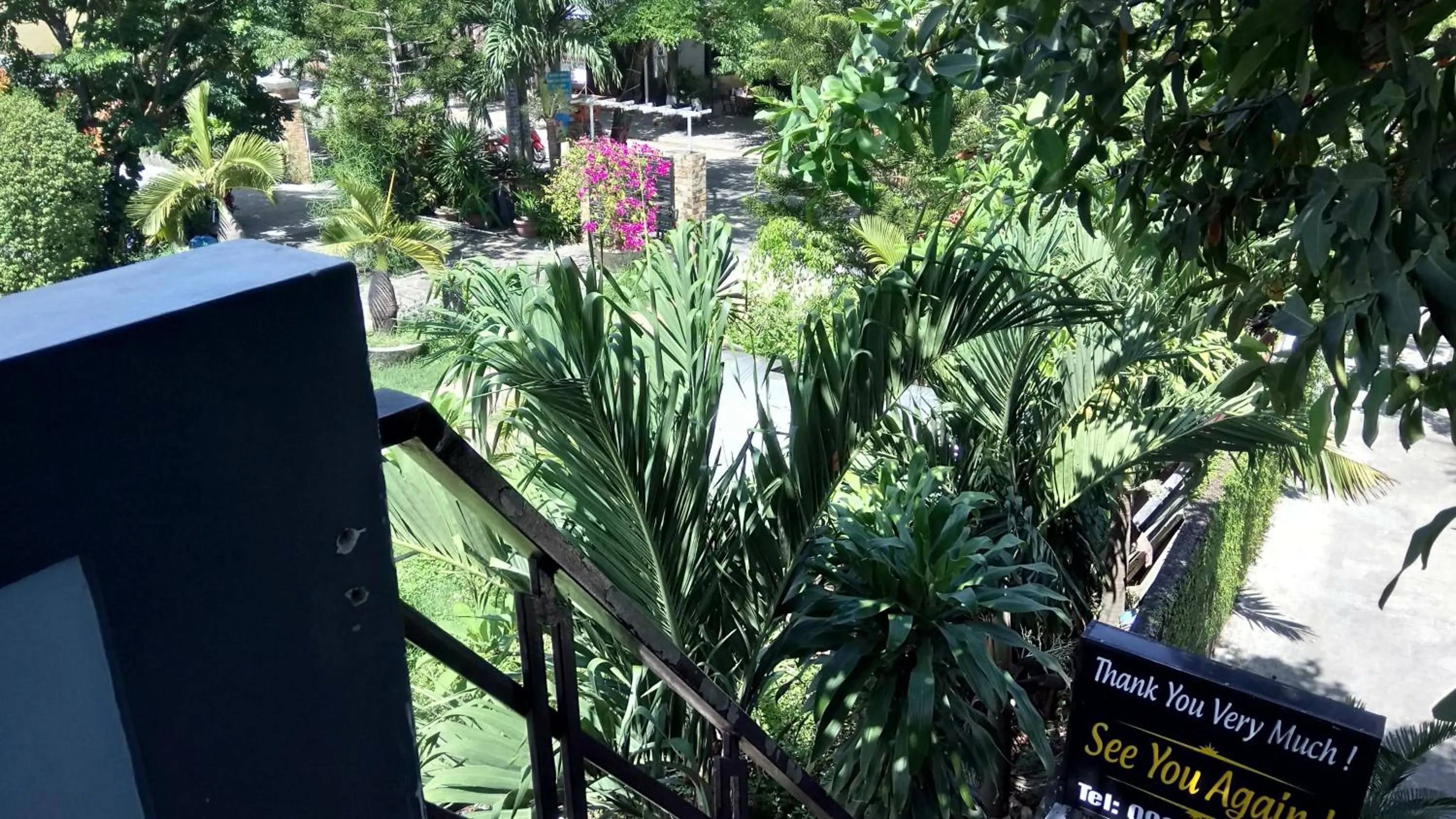 Garden view in Cam Nam Homestay