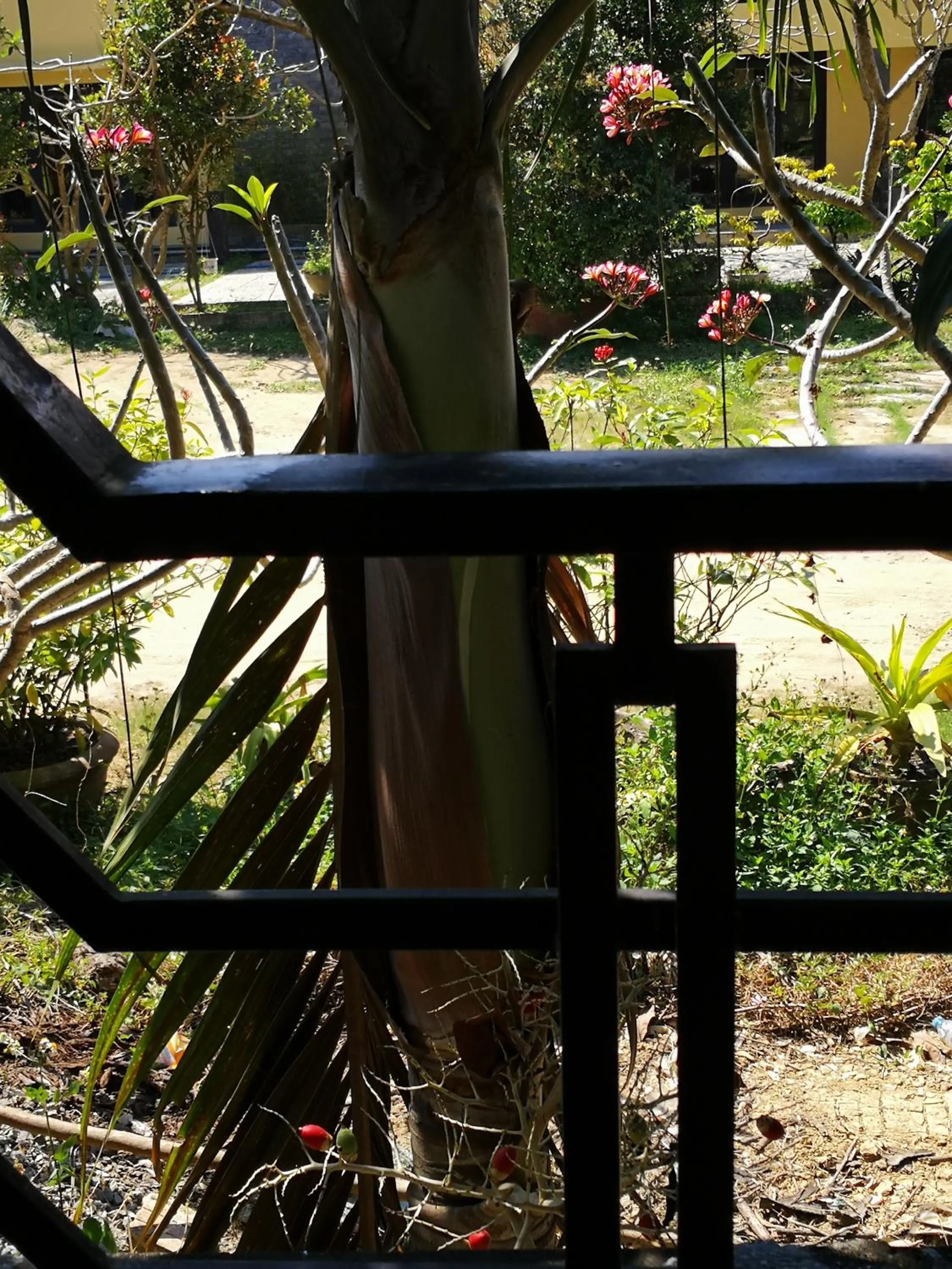 Natural landscape in Cam Nam Homestay