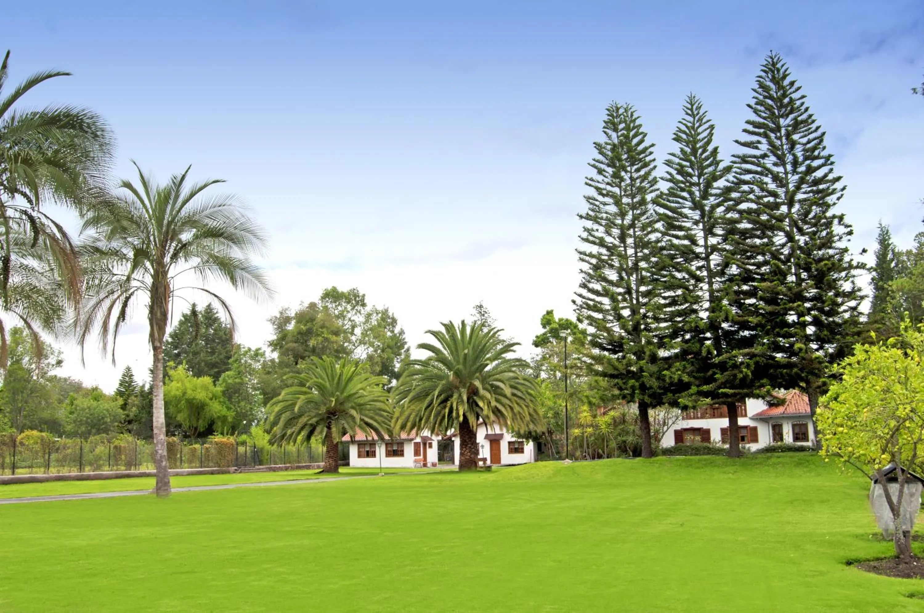Garden in Quinta La Constanza