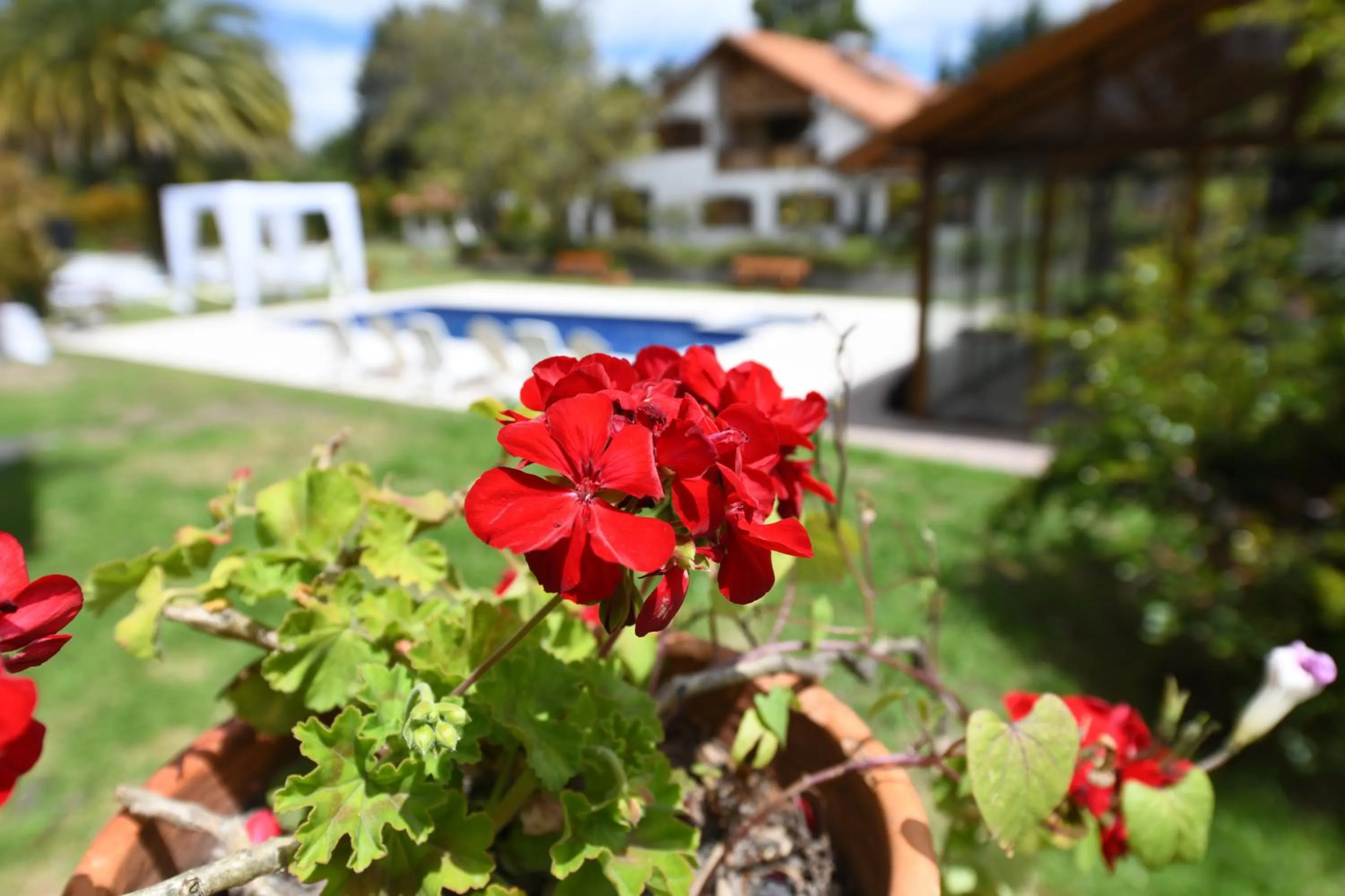Swimming pool in Quinta La Constanza