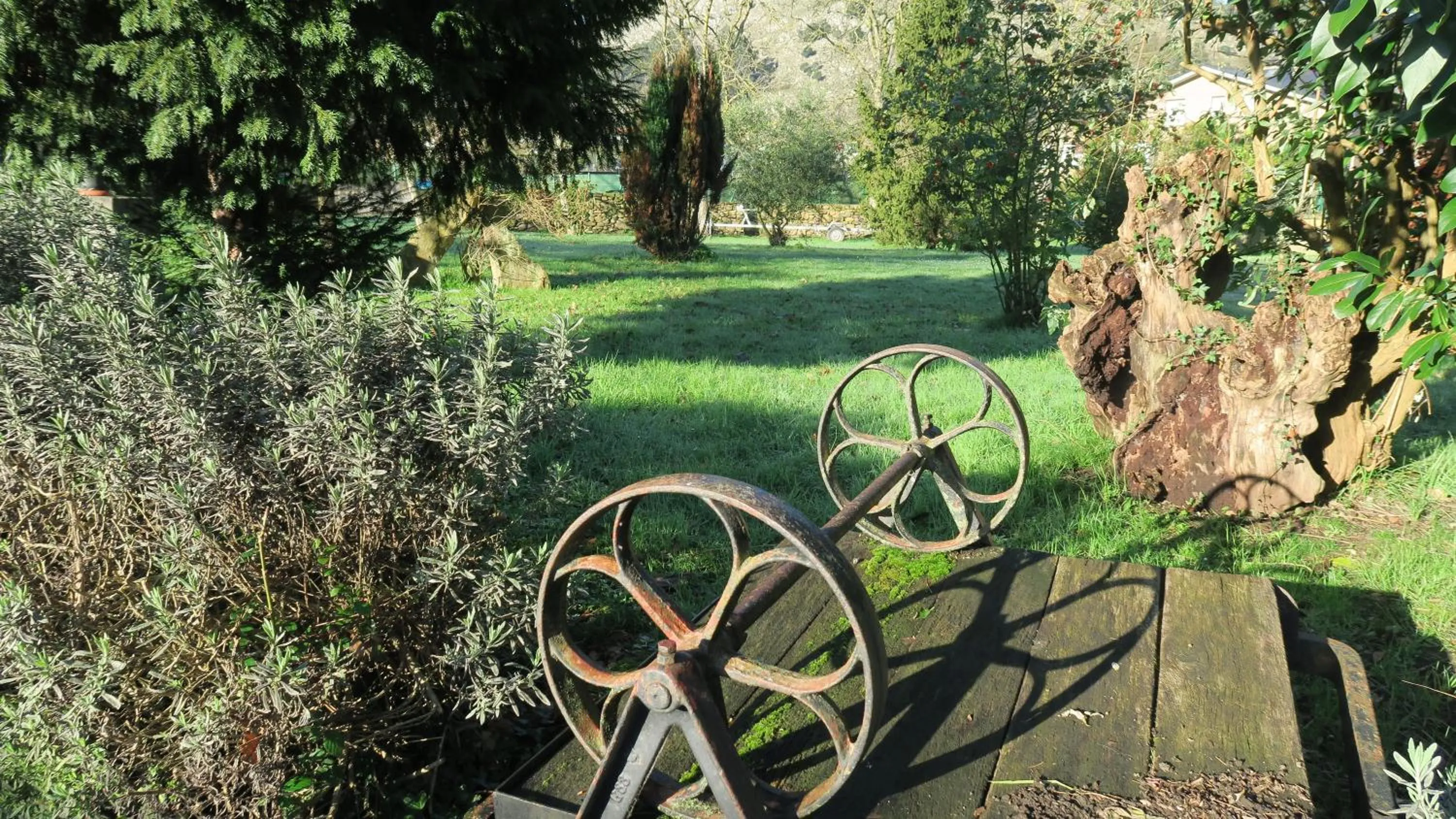 Natural landscape in Posada Casa Rosalia