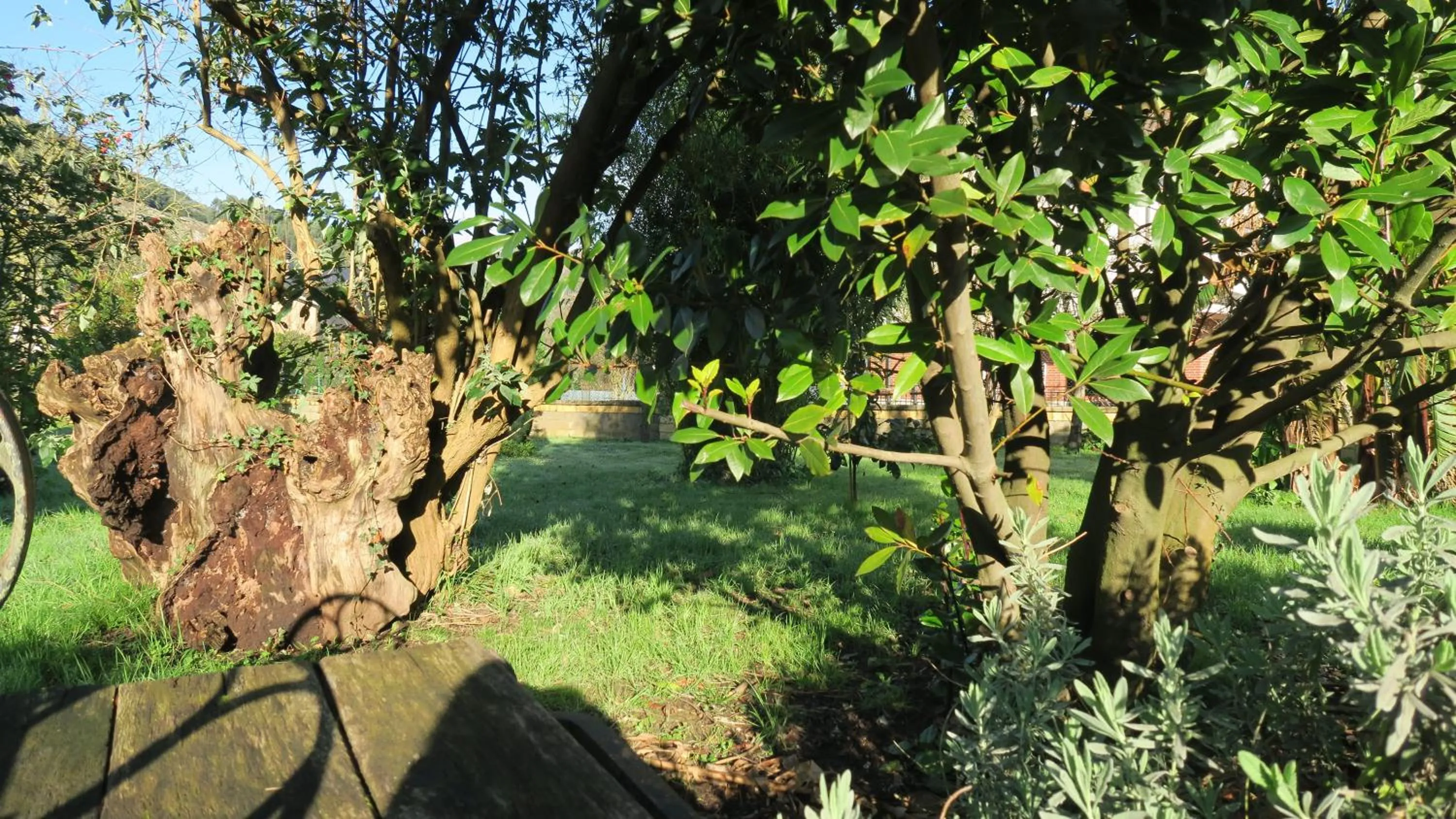 Natural landscape in Posada Casa Rosalia