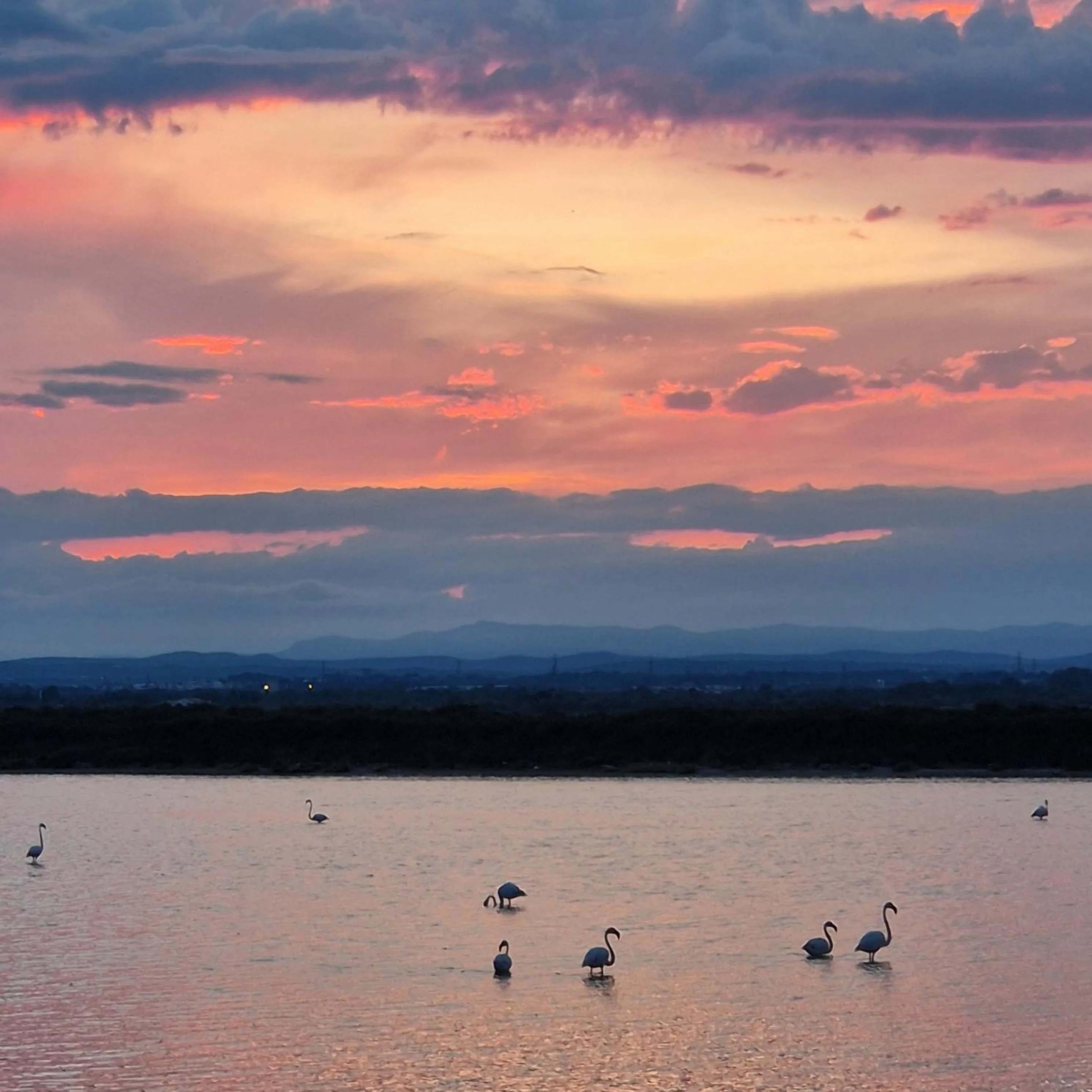Sunset in Sable & Pampas - Meublé de Tourisme 5 étoiles