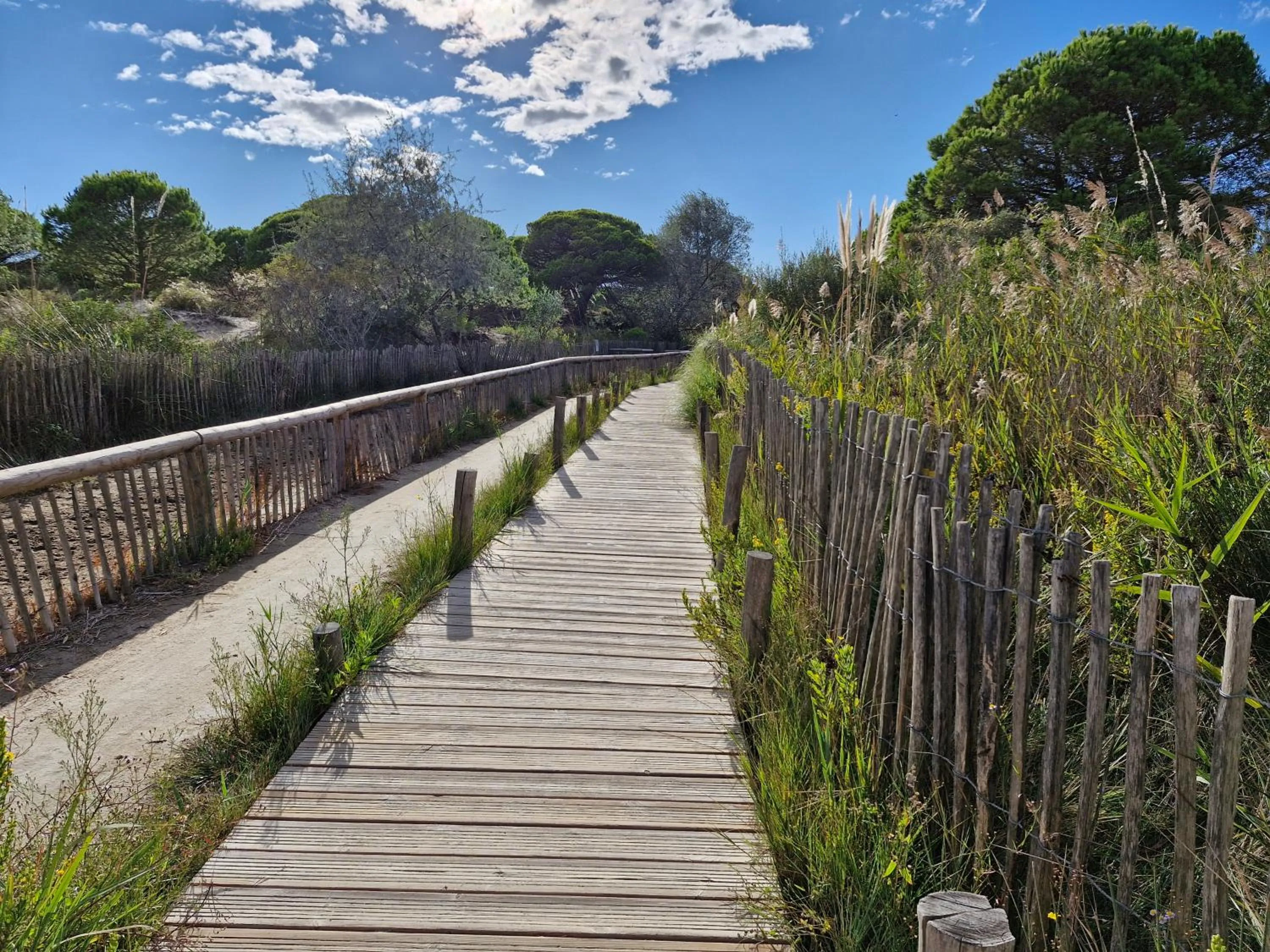 Natural landscape in Sable & Pampas - Meublé de Tourisme 5 étoiles