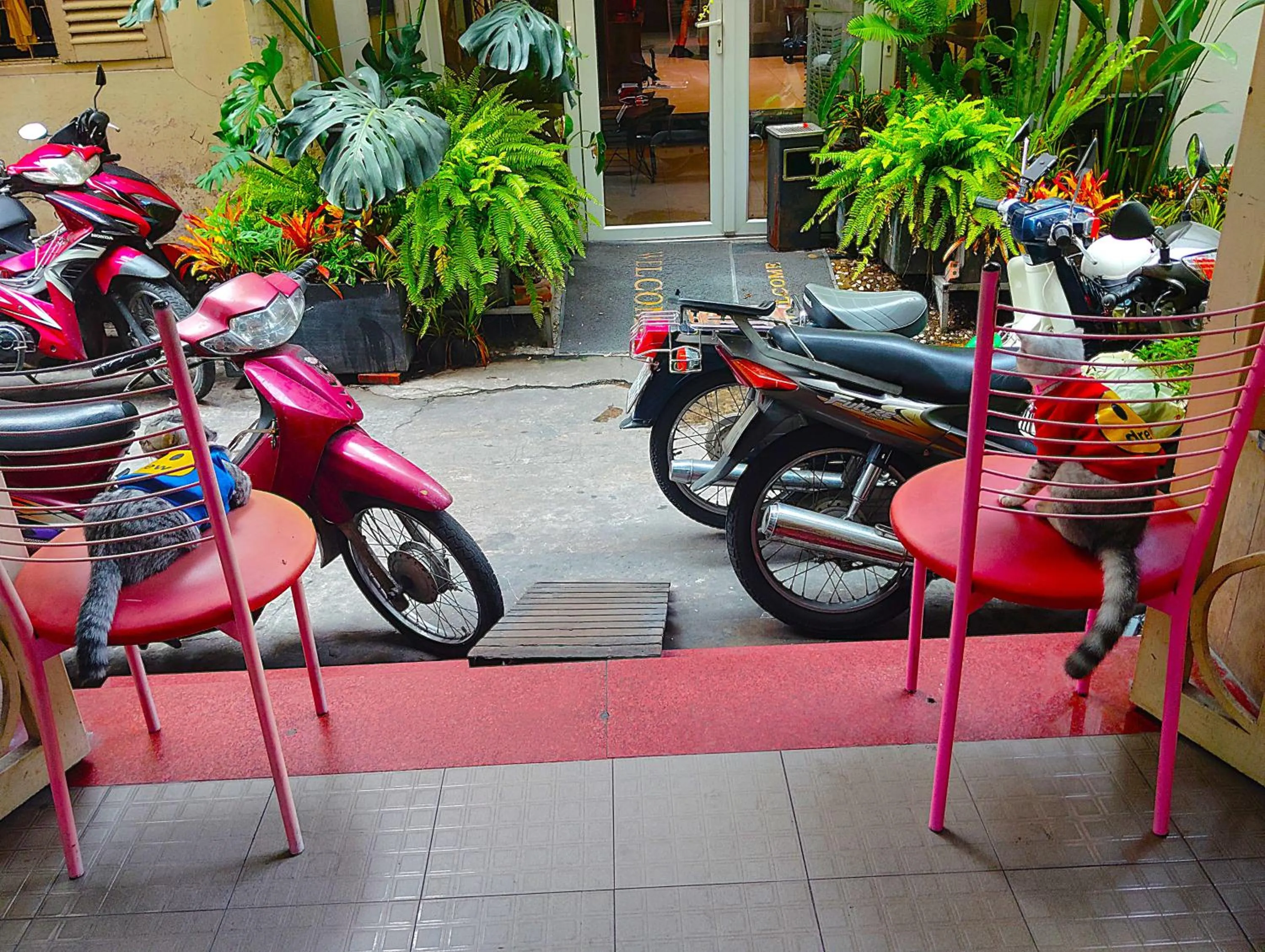 Off site in Sakura Hostel Saigon
