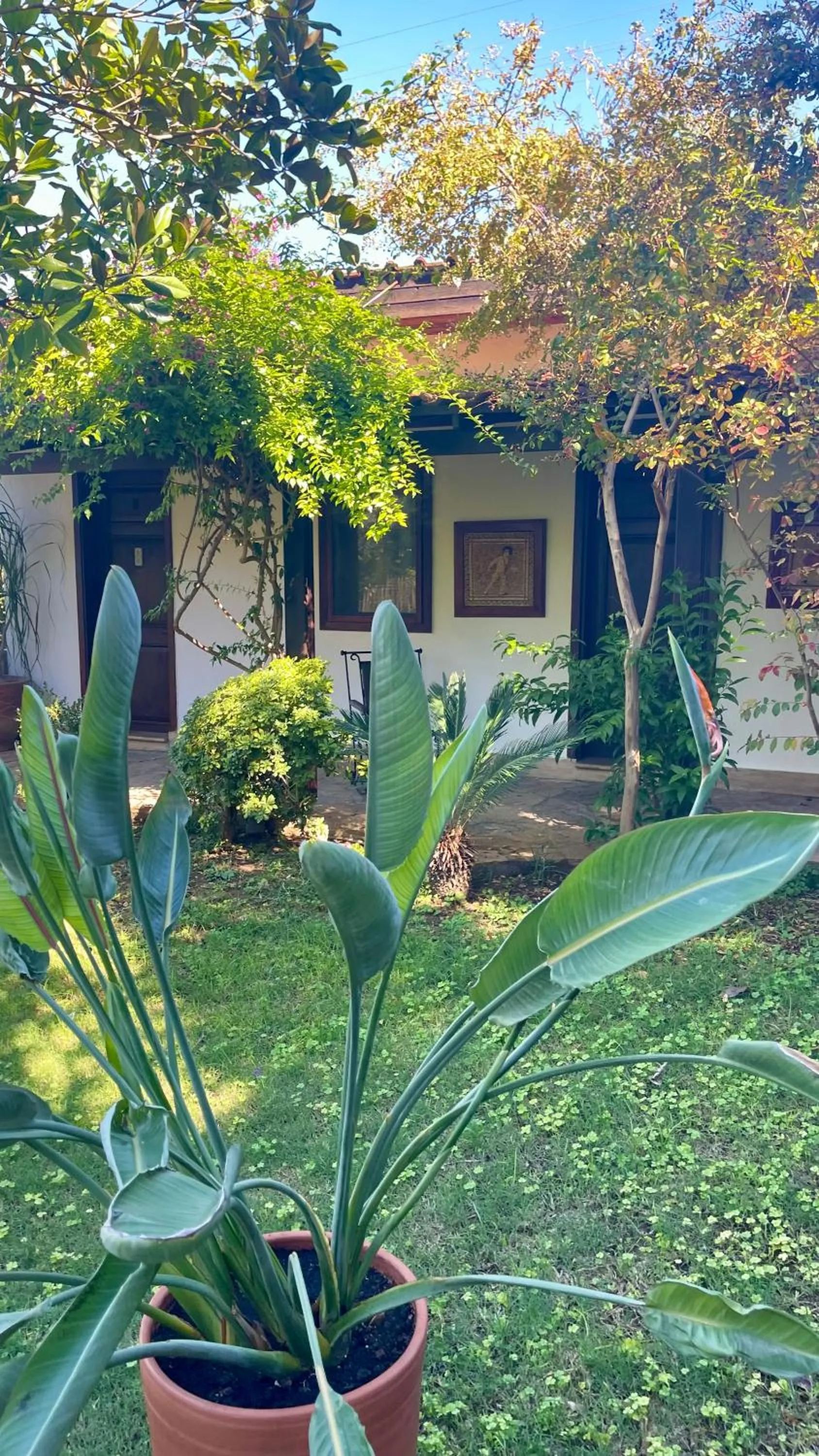 Kamarca House Hotel