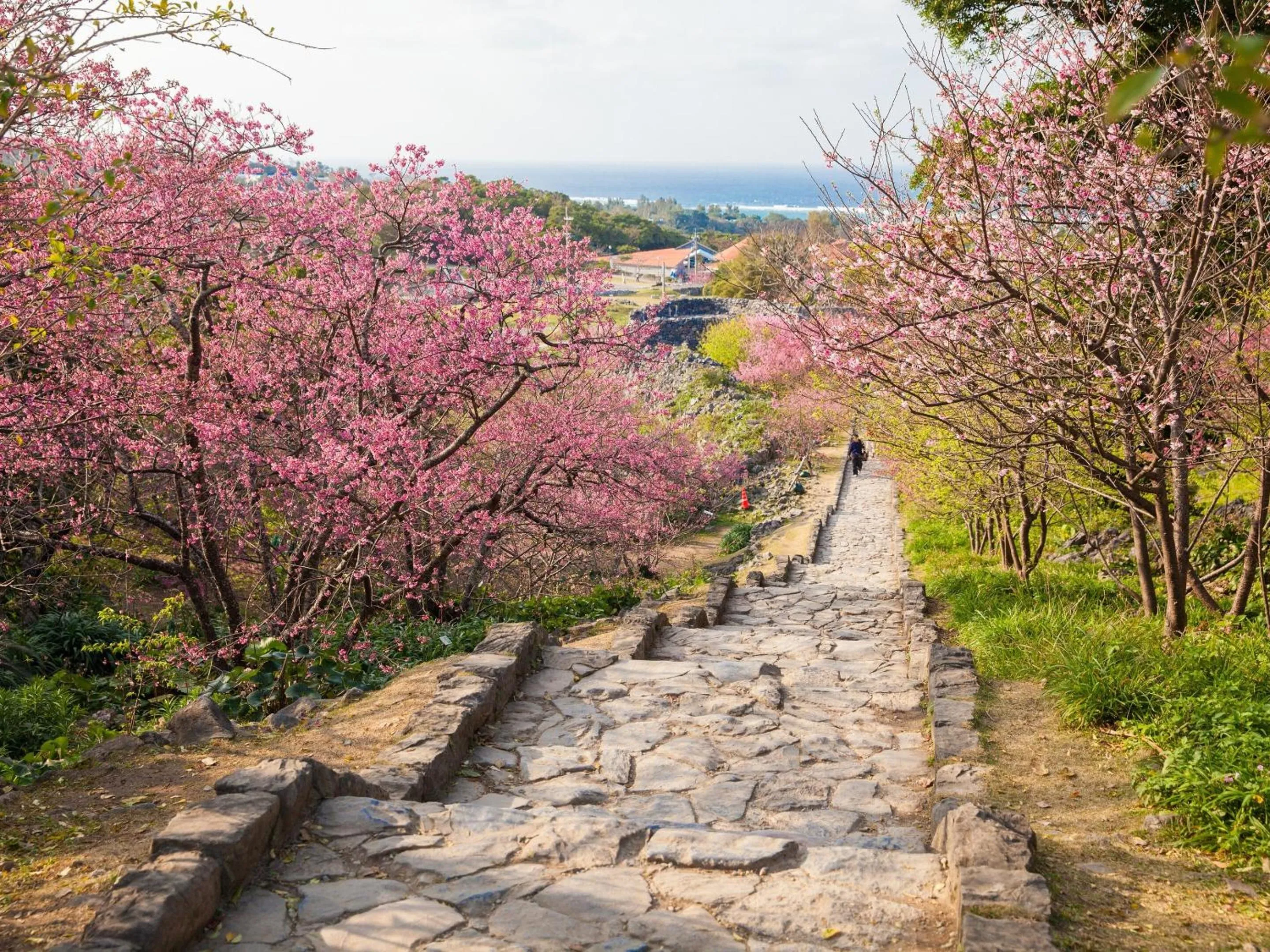 Nearby landmark in Pool Villa Yagajishima by Coldio Premium