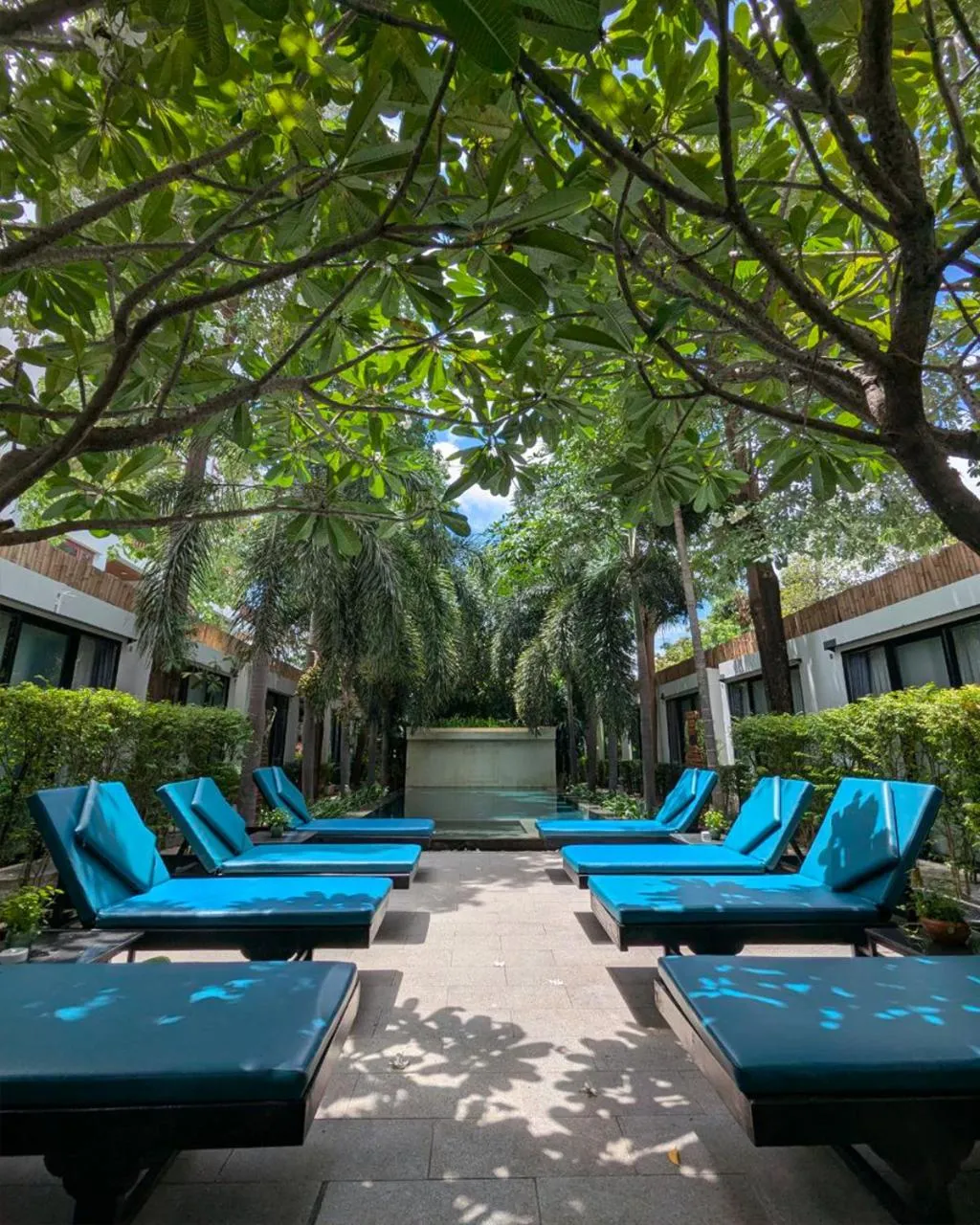 Day in Tunnel Urban Retreat