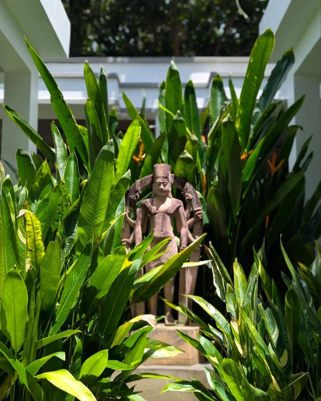 Day in Tunnel Urban Retreat