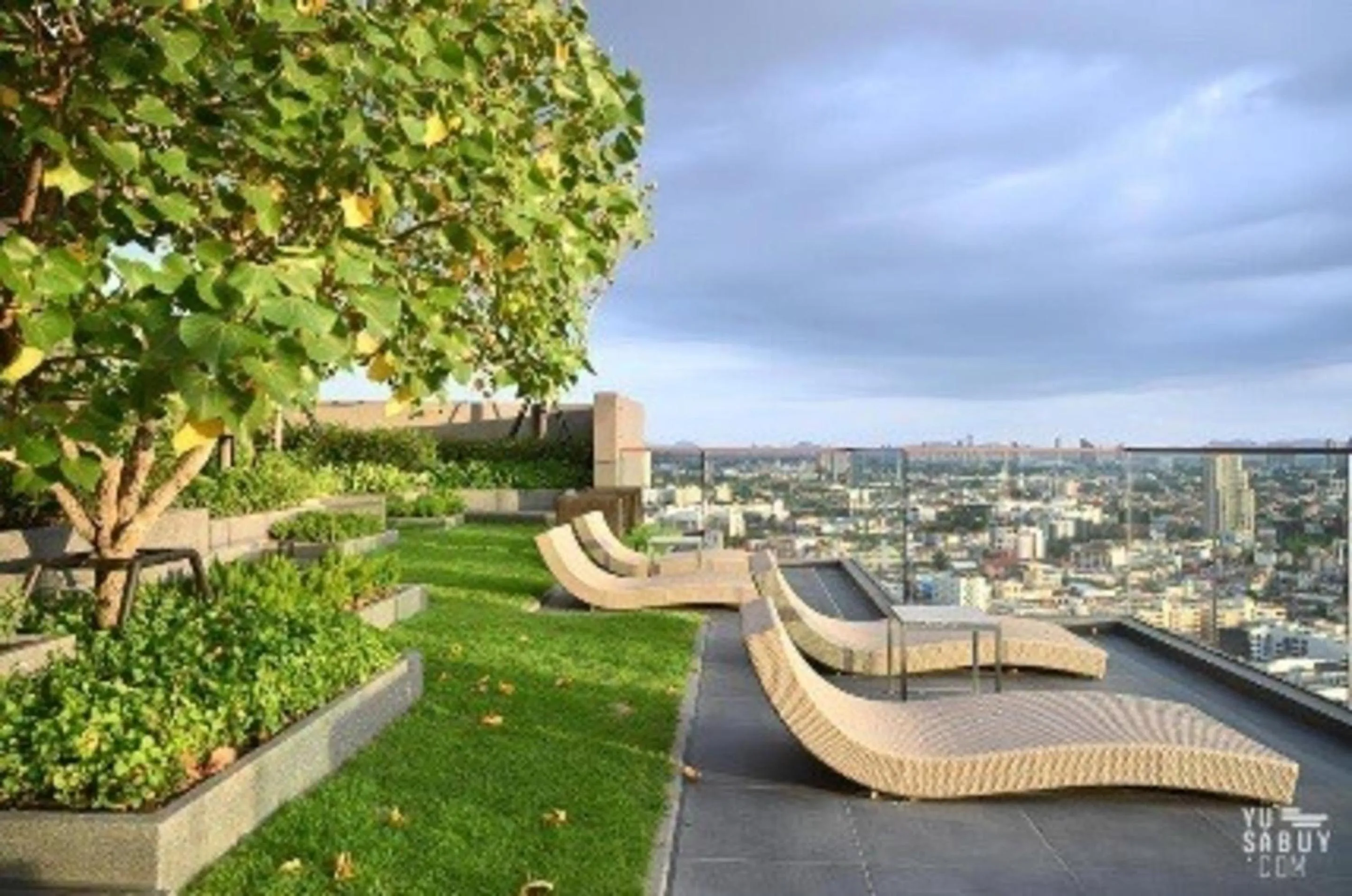 Garden in Edge Central Pattaya by Mickey