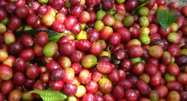 Breakfast in San Agustin Internacional Hotel