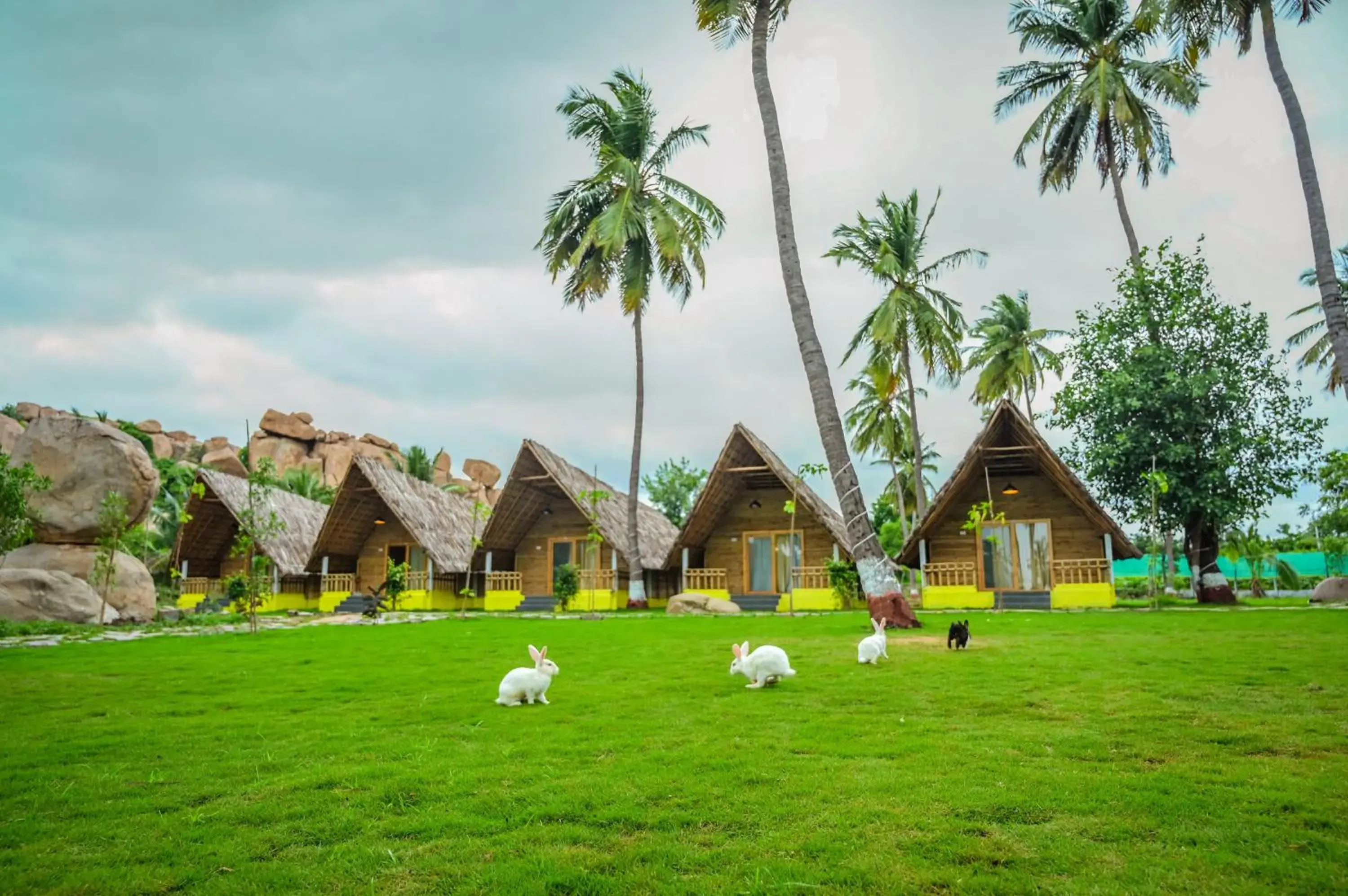 Tamarind Tree Way Side Amenities Tamarind Tree Way Side Amenities