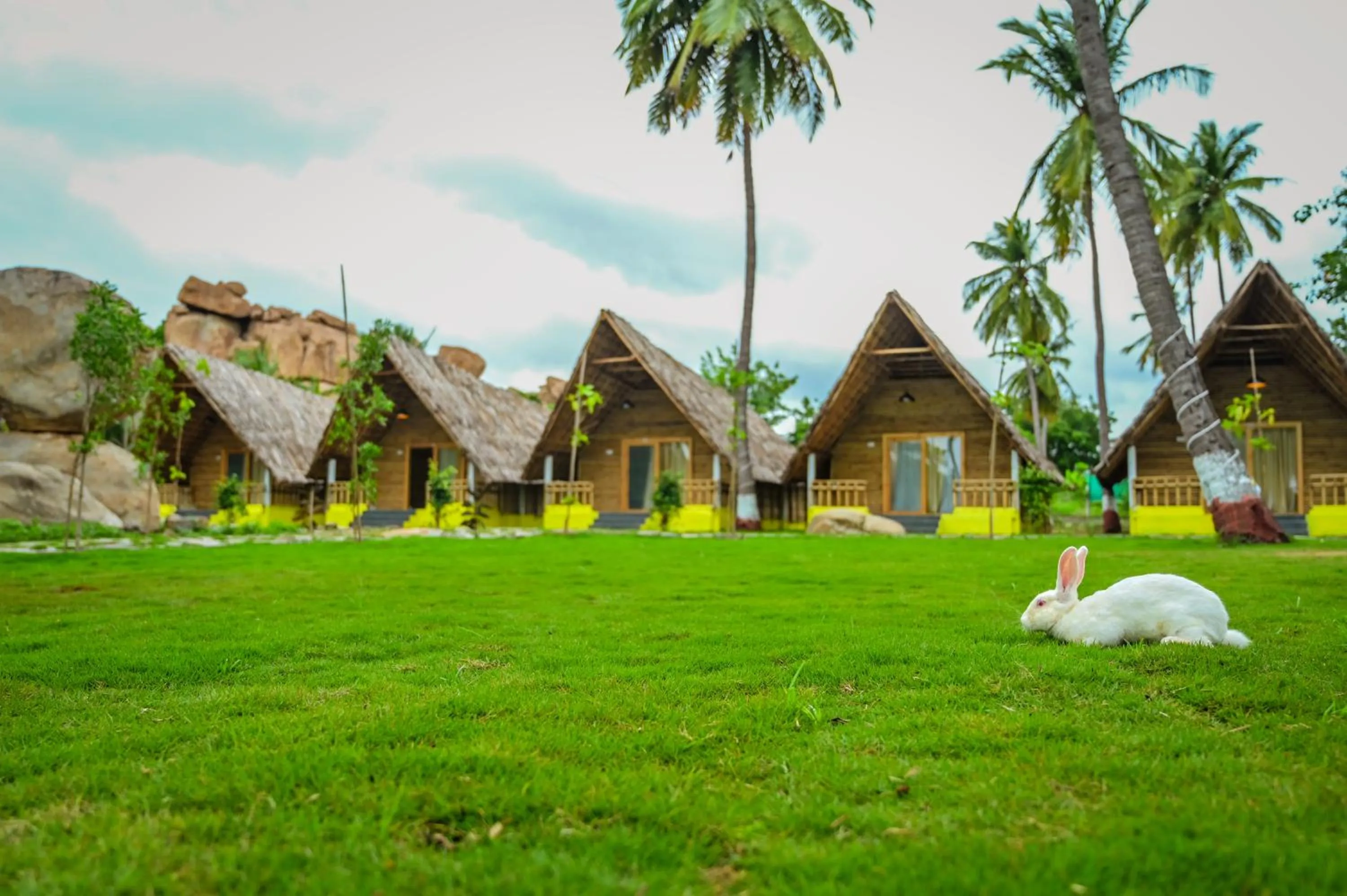 Tamarind Tree Way Side Amenities