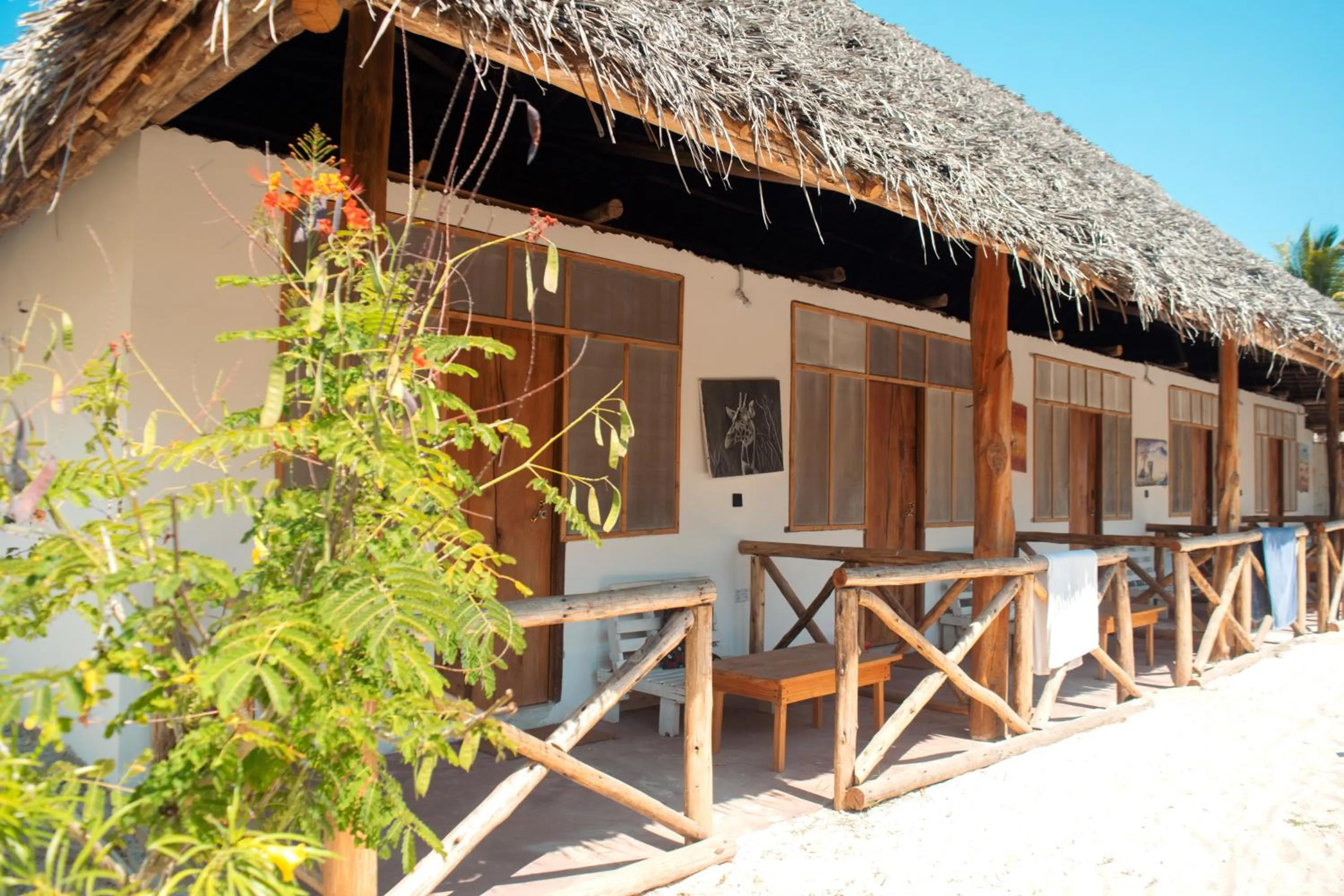 Property building in New Jambo Bungalows