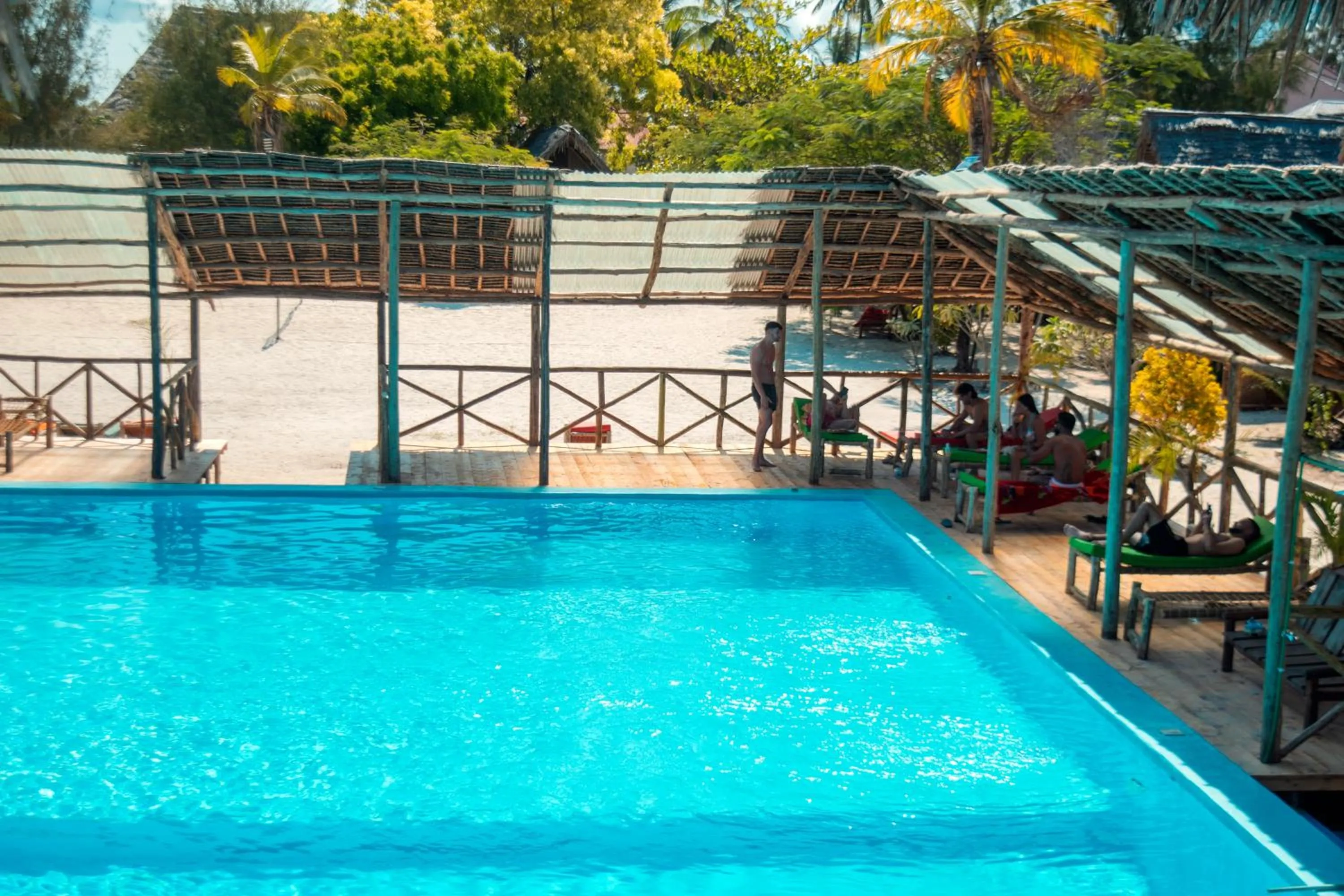 Swimming pool in New Jambo Bungalows