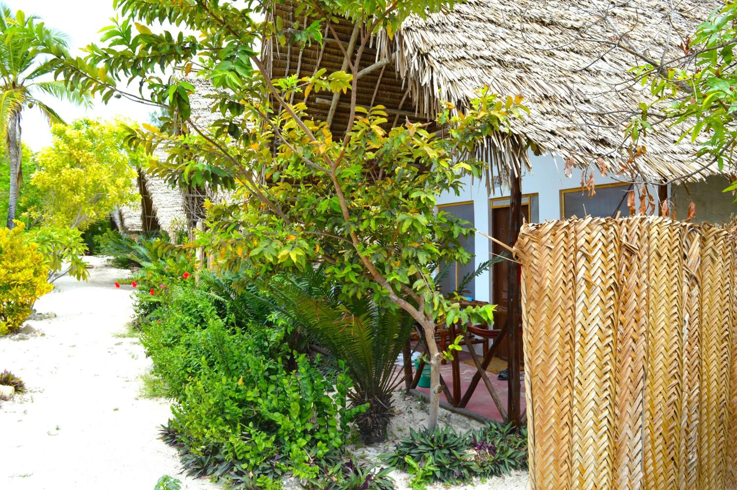 Garden view in New Jambo Bungalows