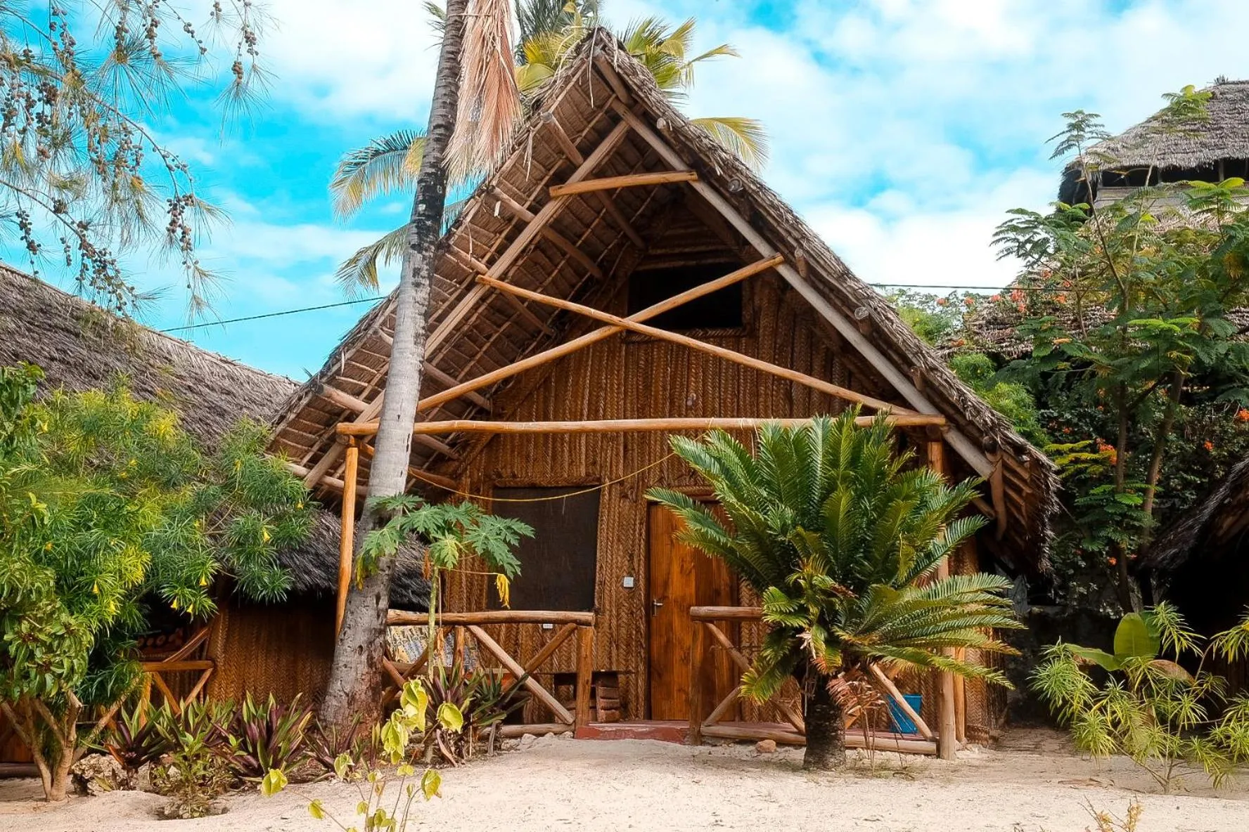 Garden view in New Jambo Bungalows