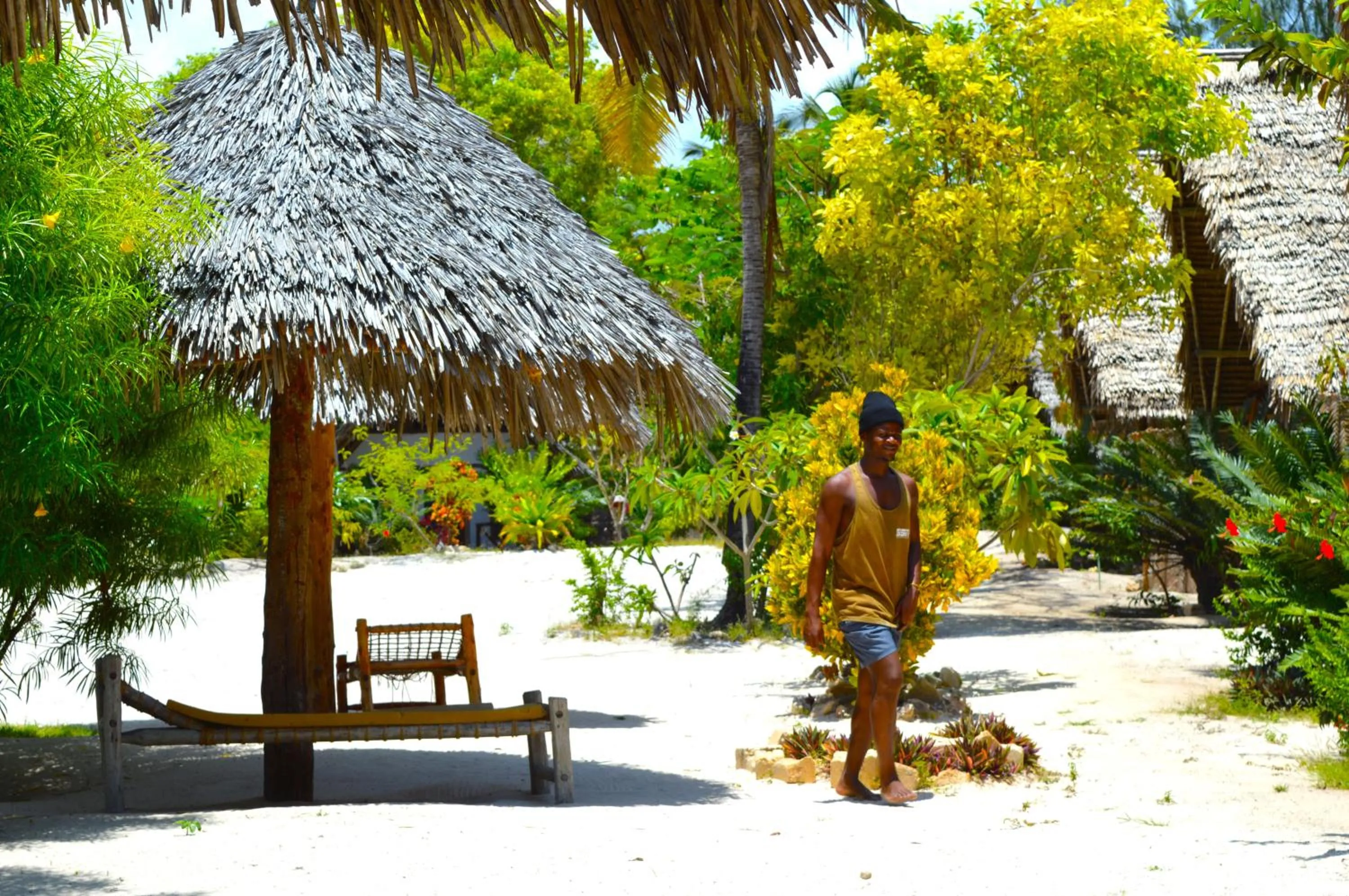 Property building in New Jambo Bungalows