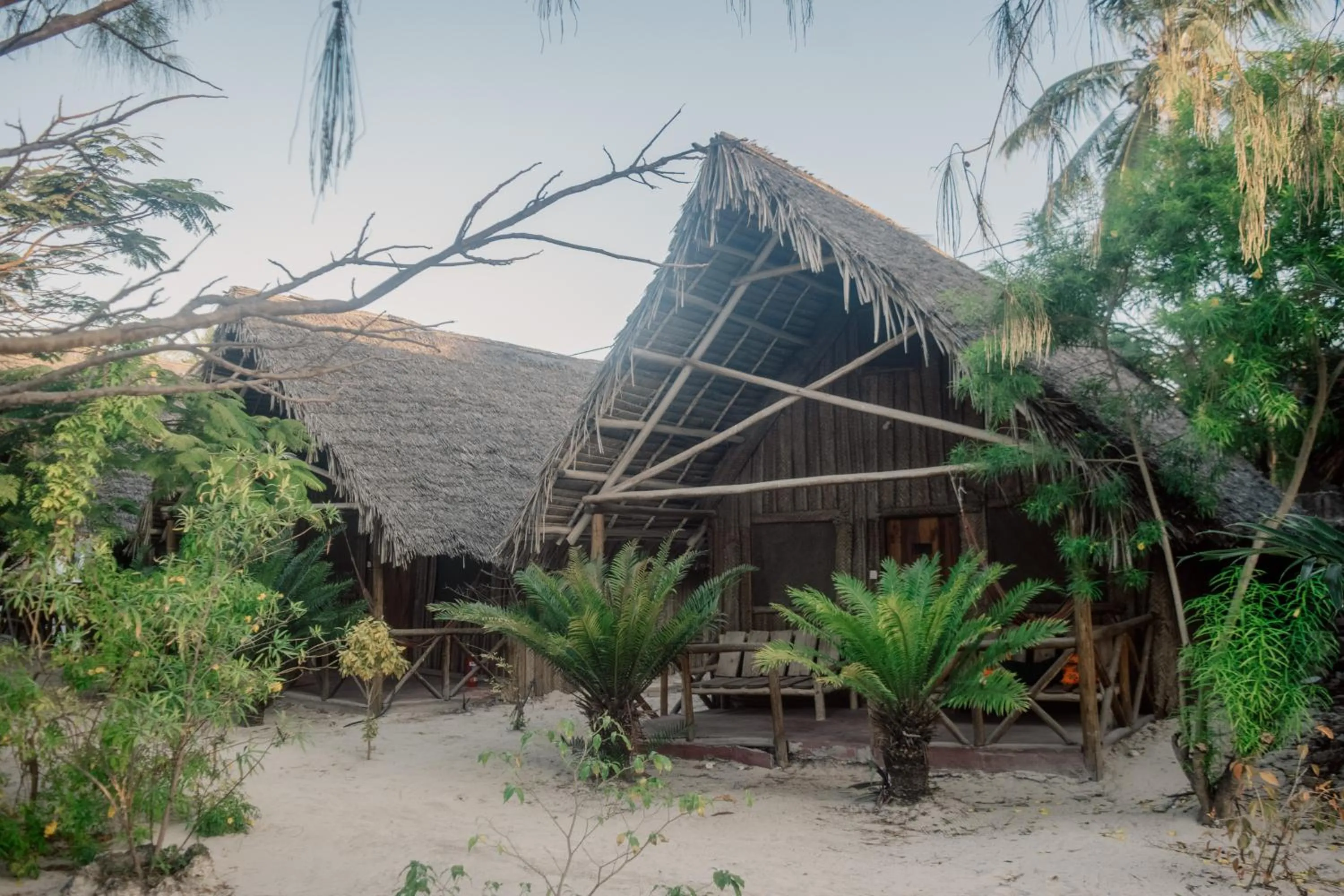 Property building in New Jambo Bungalows