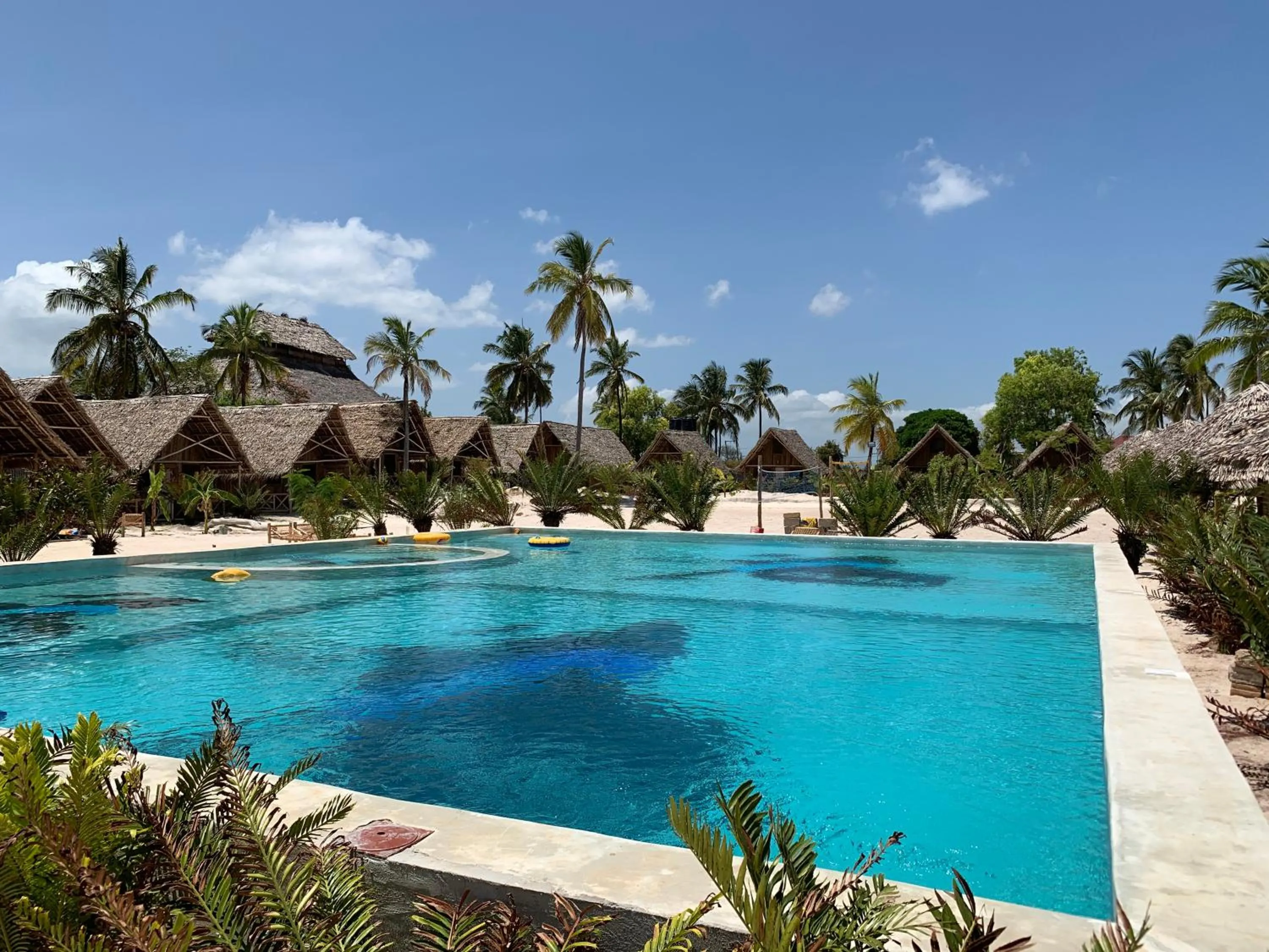 Swimming pool in New Jambo Bungalows