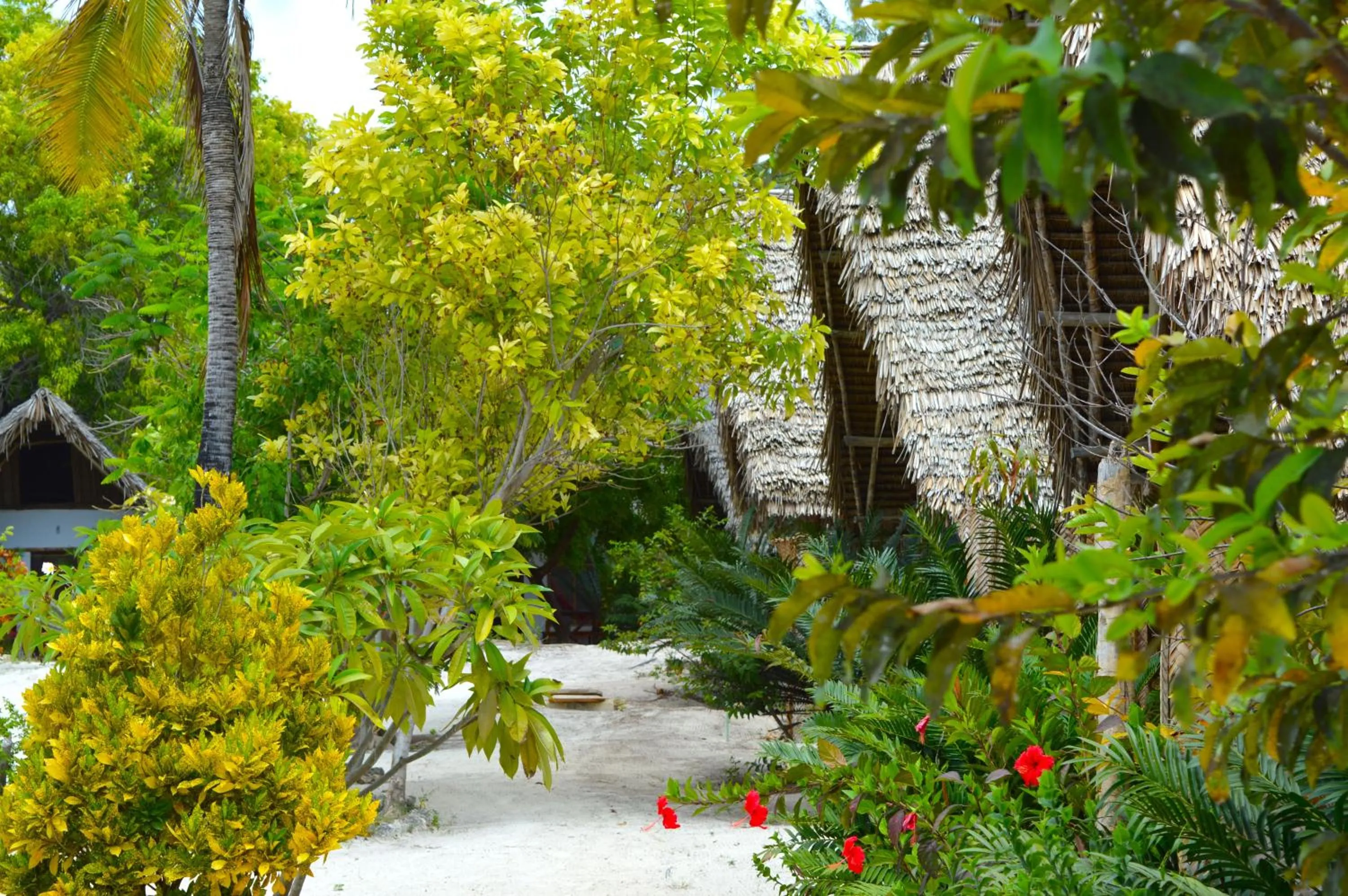 View (from property/room) in New Jambo Bungalows