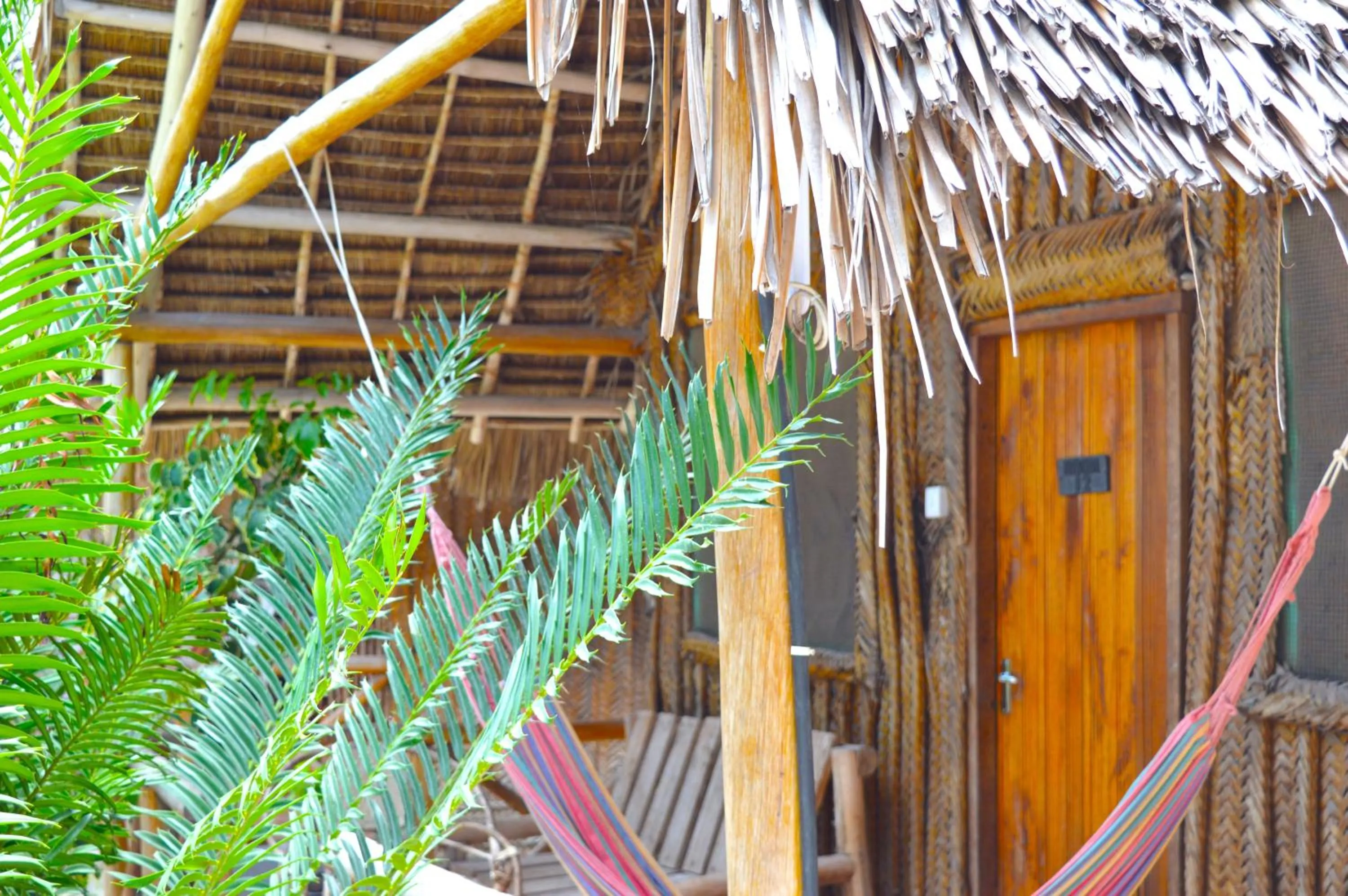 Property building in New Jambo Bungalows