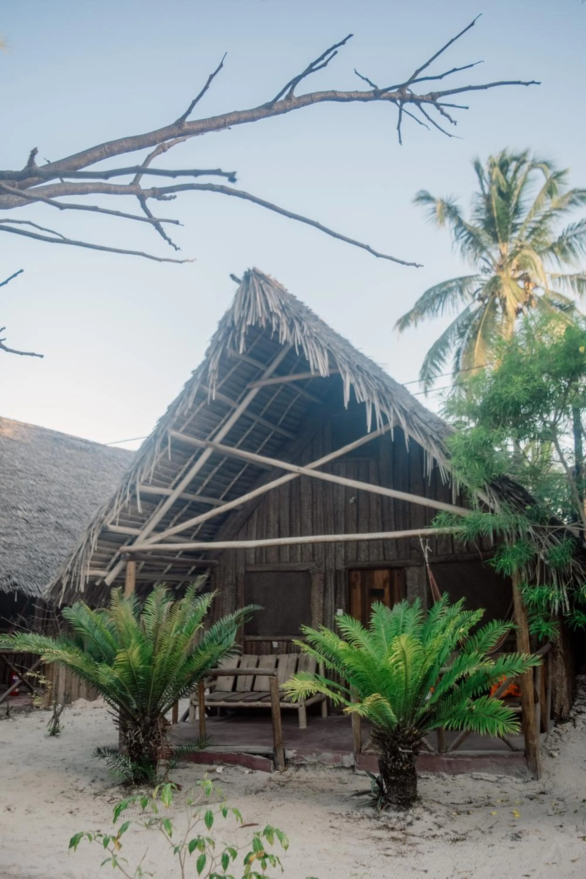 Property building in New Jambo Bungalows