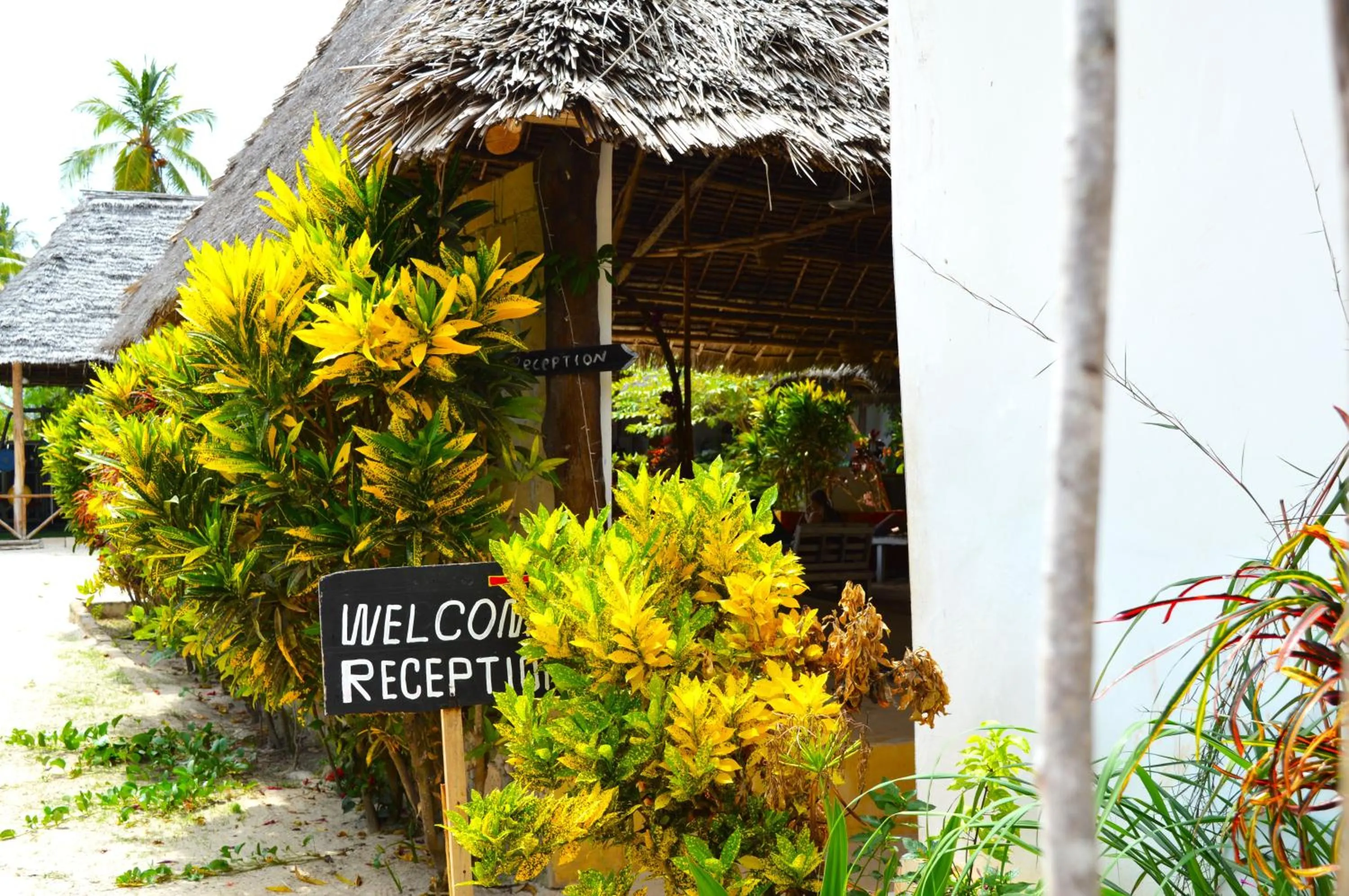 Lobby or reception in New Jambo Bungalows