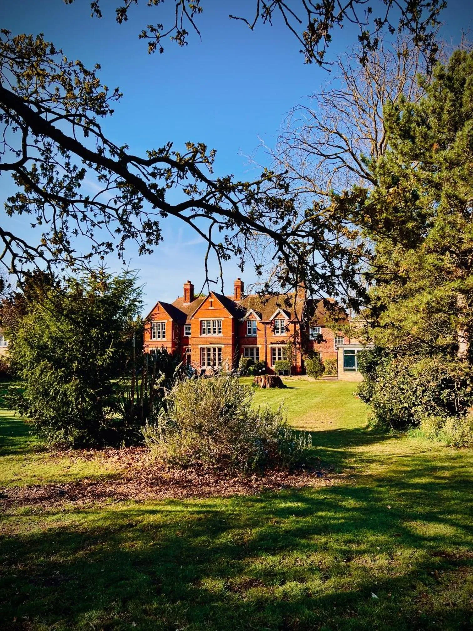 Garden in Willingham House