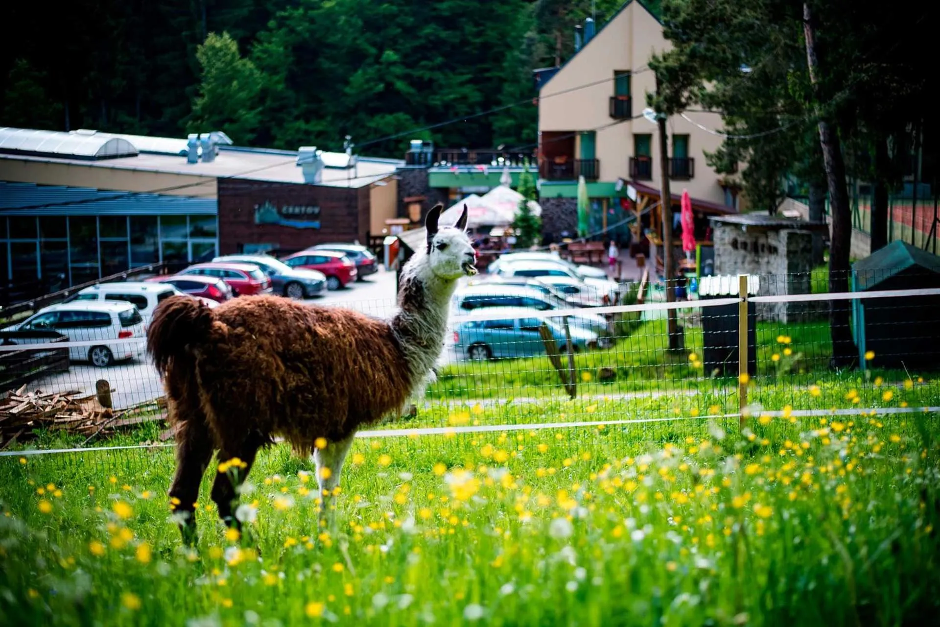 Natural landscape in Wellness & Spa Hotel Čertov